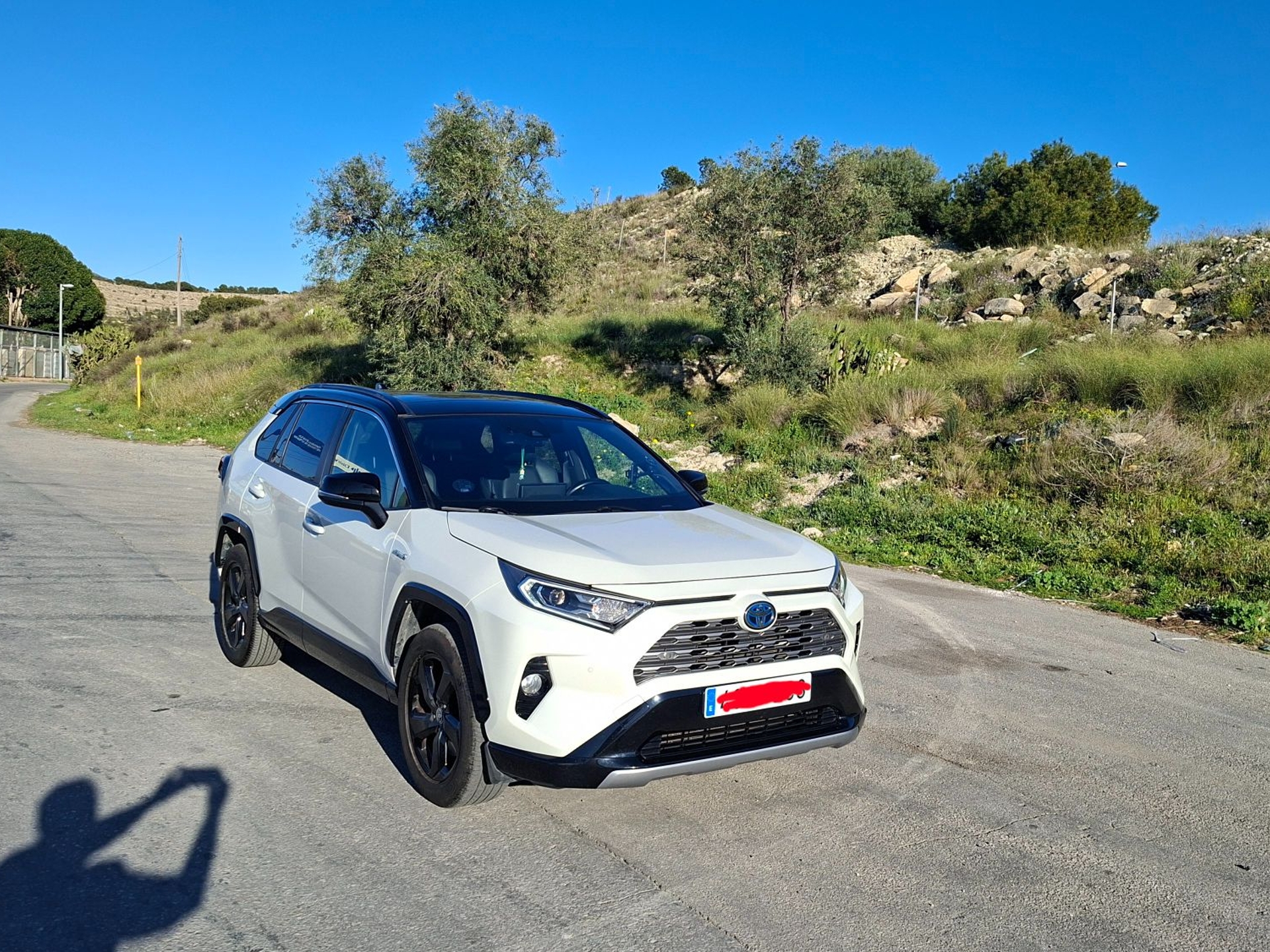 Imagen de TOYOTA RAV-4