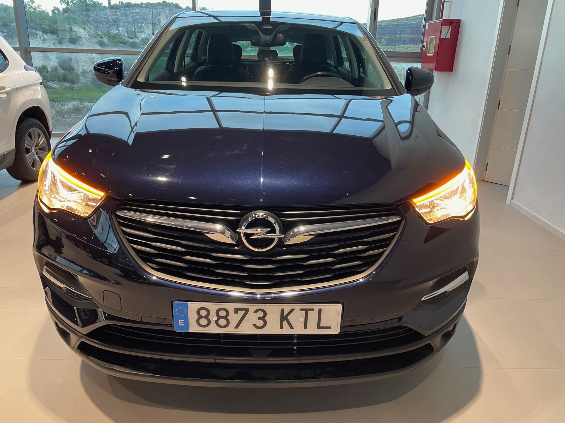 Imagen de OPEL Grandland X