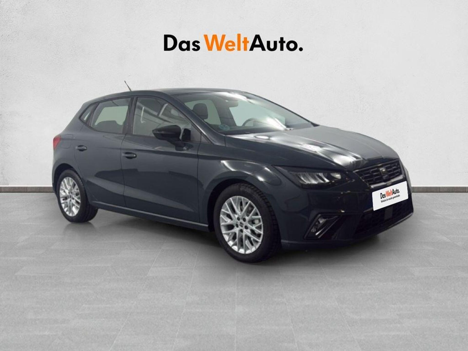 Imagen 1 de SEAT Ibiza