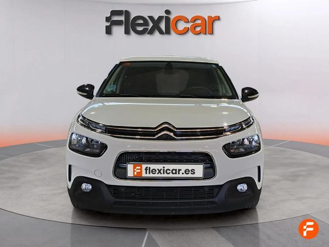 Foto del CITROEN C4 Cactus 1.6BlueHDi S&S Business 100
