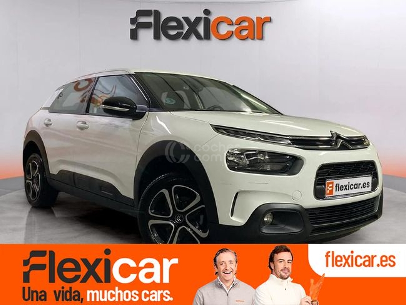 Foto del CITROEN C4 Cactus 1.6BlueHDi S&S Feel 100