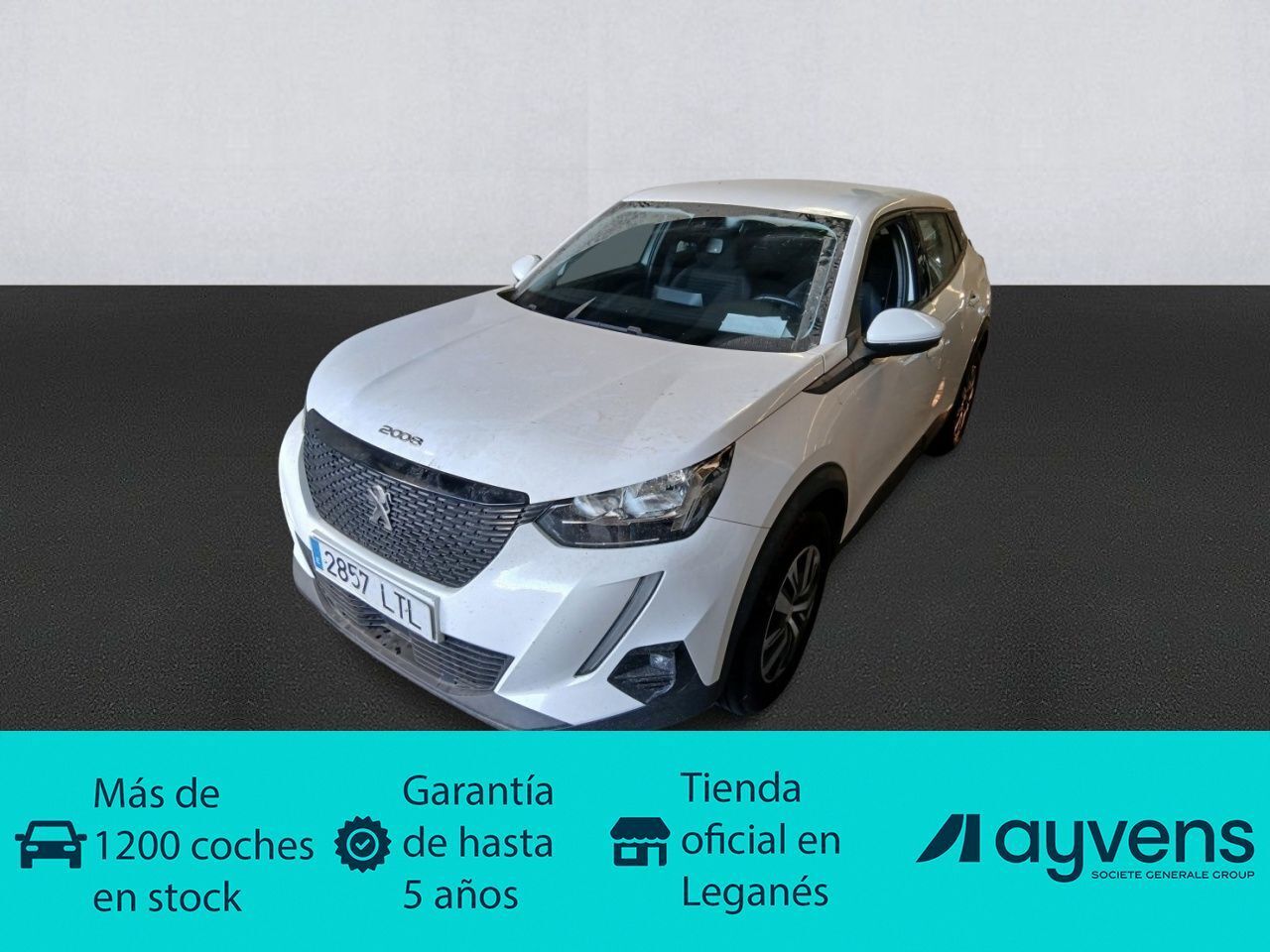 PEUGEOT 2008 (BlueHDi 110 S&S Active 81 kW (110 CV)) en Madrid