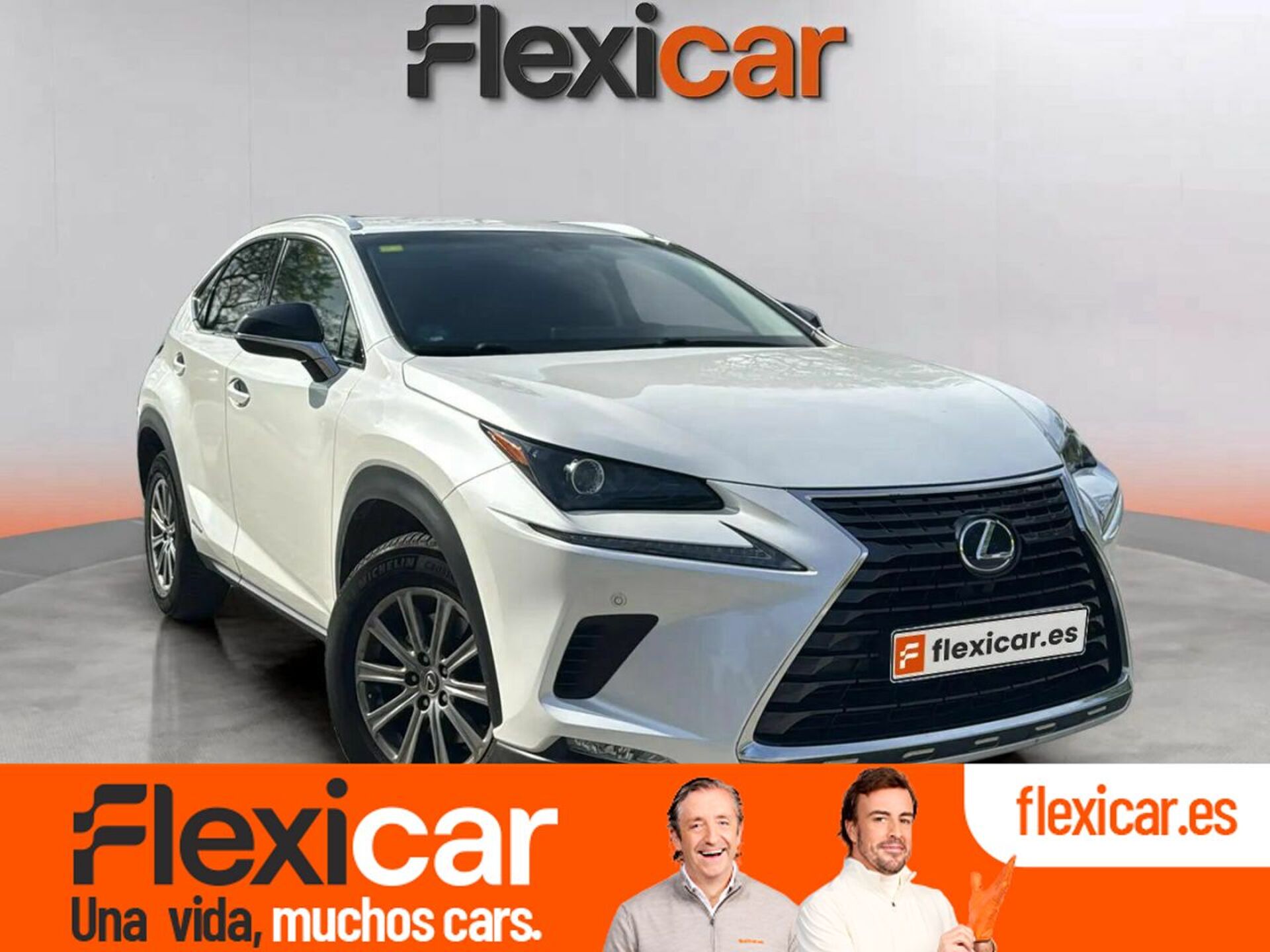 Imagen de LEXUS NX
