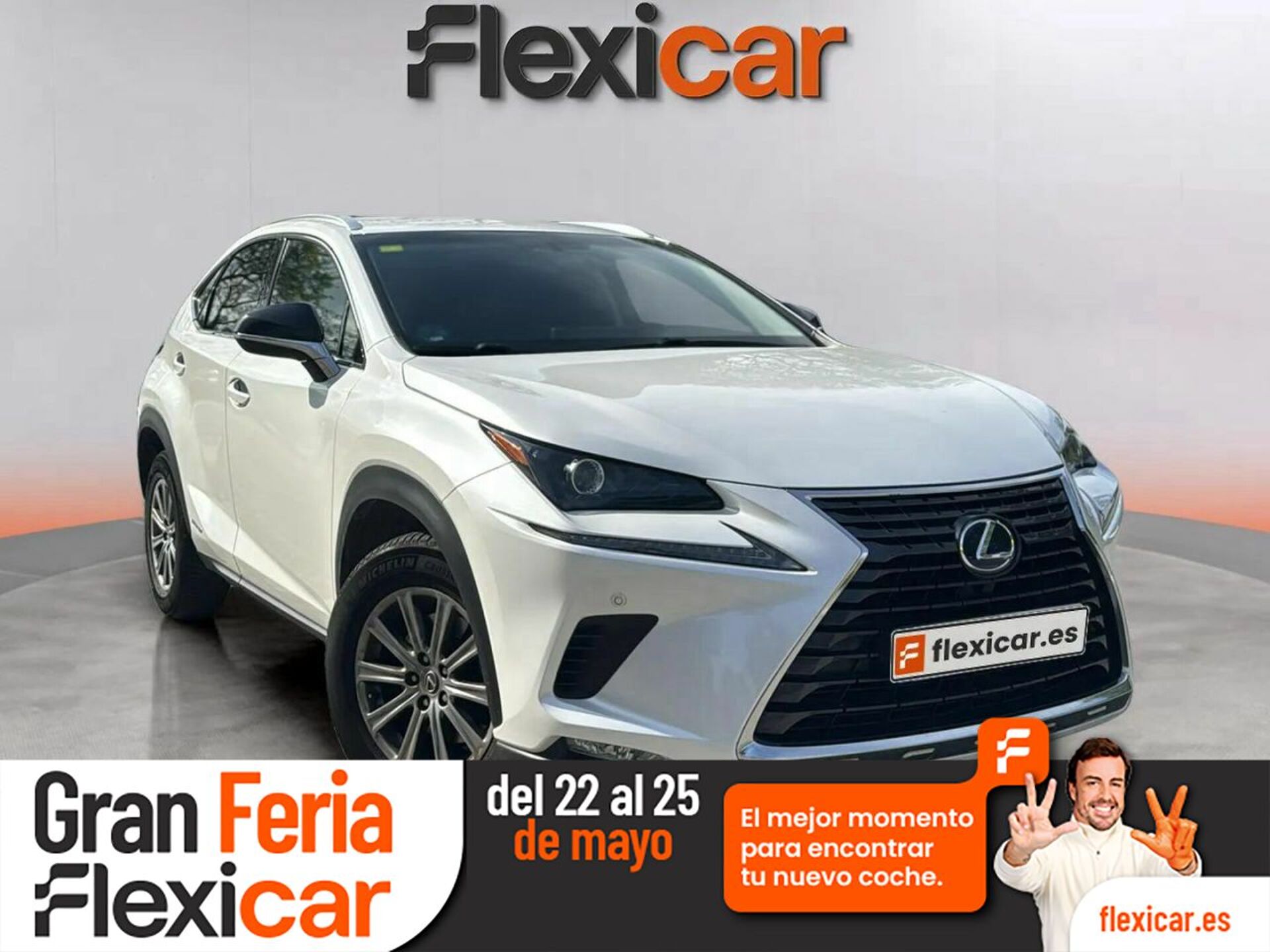 Imagen de LEXUS NX