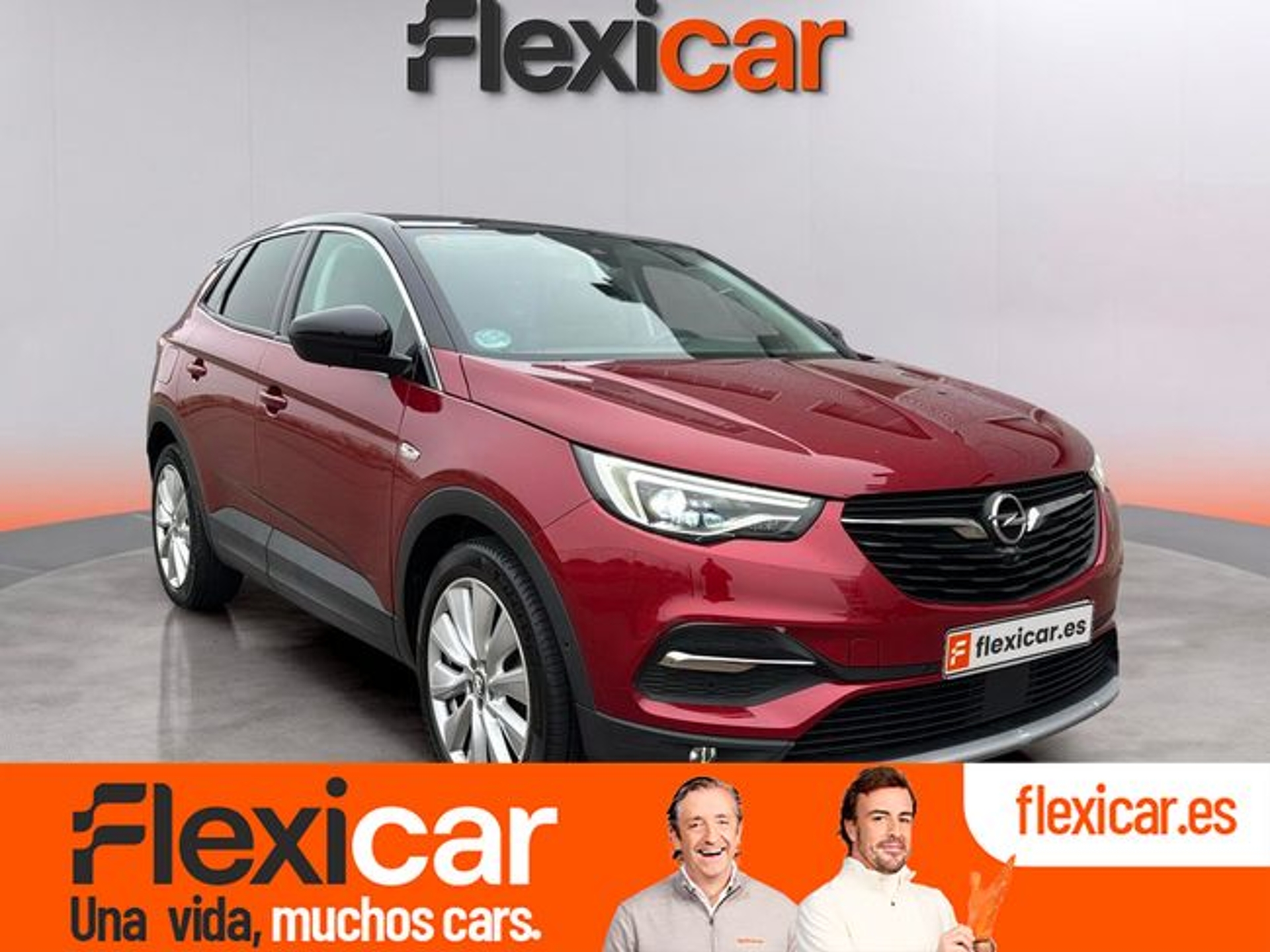 Imagen de OPEL Grandland X