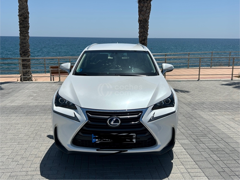 Foto del LEXUS NX 300h Business Navigation 2WD