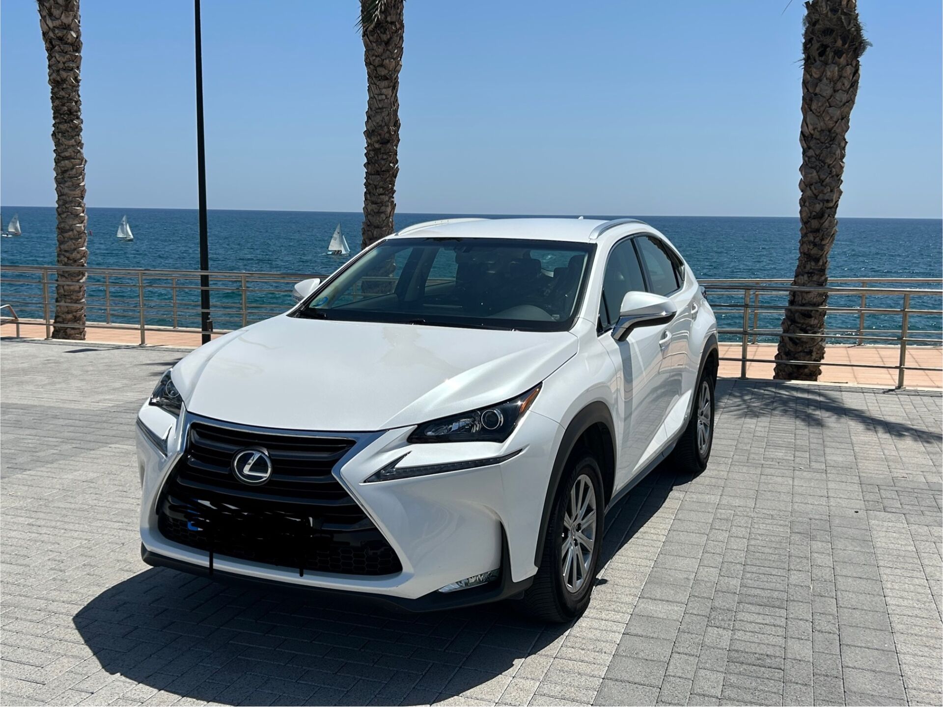 Imagen 1 de LEXUS NX