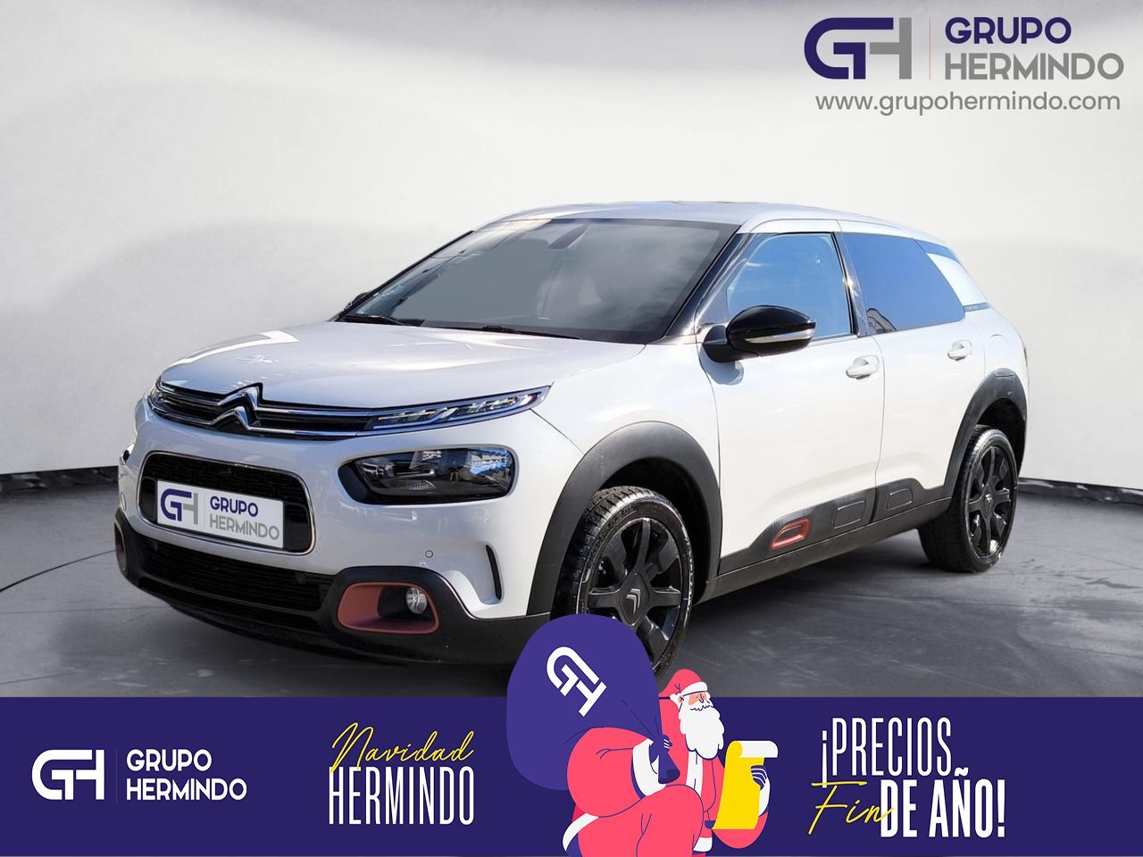 CITROEN C4 Cactus (BLUE HDI 100 CV SHINE) en Pontevedra