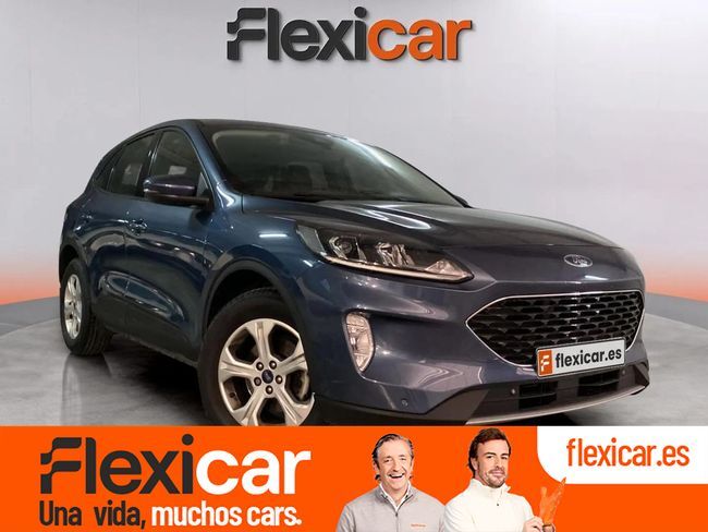 FORD Kuga (Trend 1.5 EcoBlue 88kW (120CV)) en Alicante