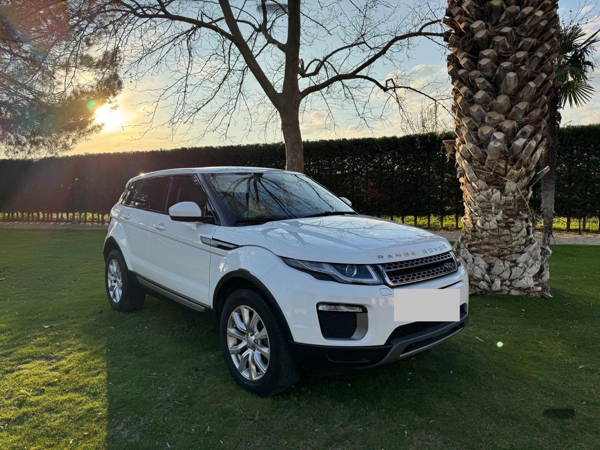 Imagen 2 de LAND ROVER Range Rover Evoque