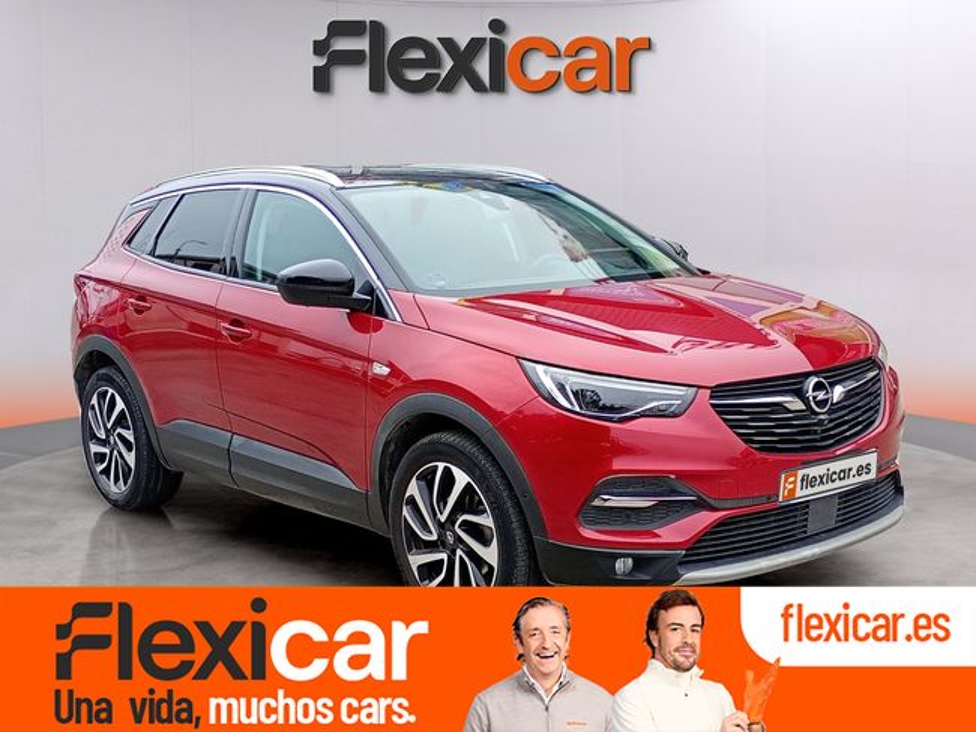Imagen de OPEL Grandland X