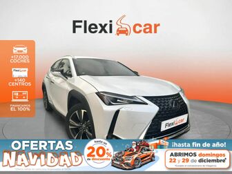 Imagen de LEXUS UX 250h Business 4WD