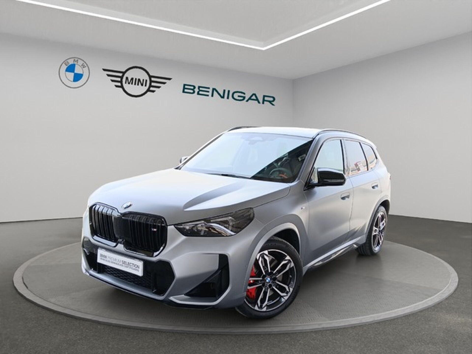 Imagen de BMW X1