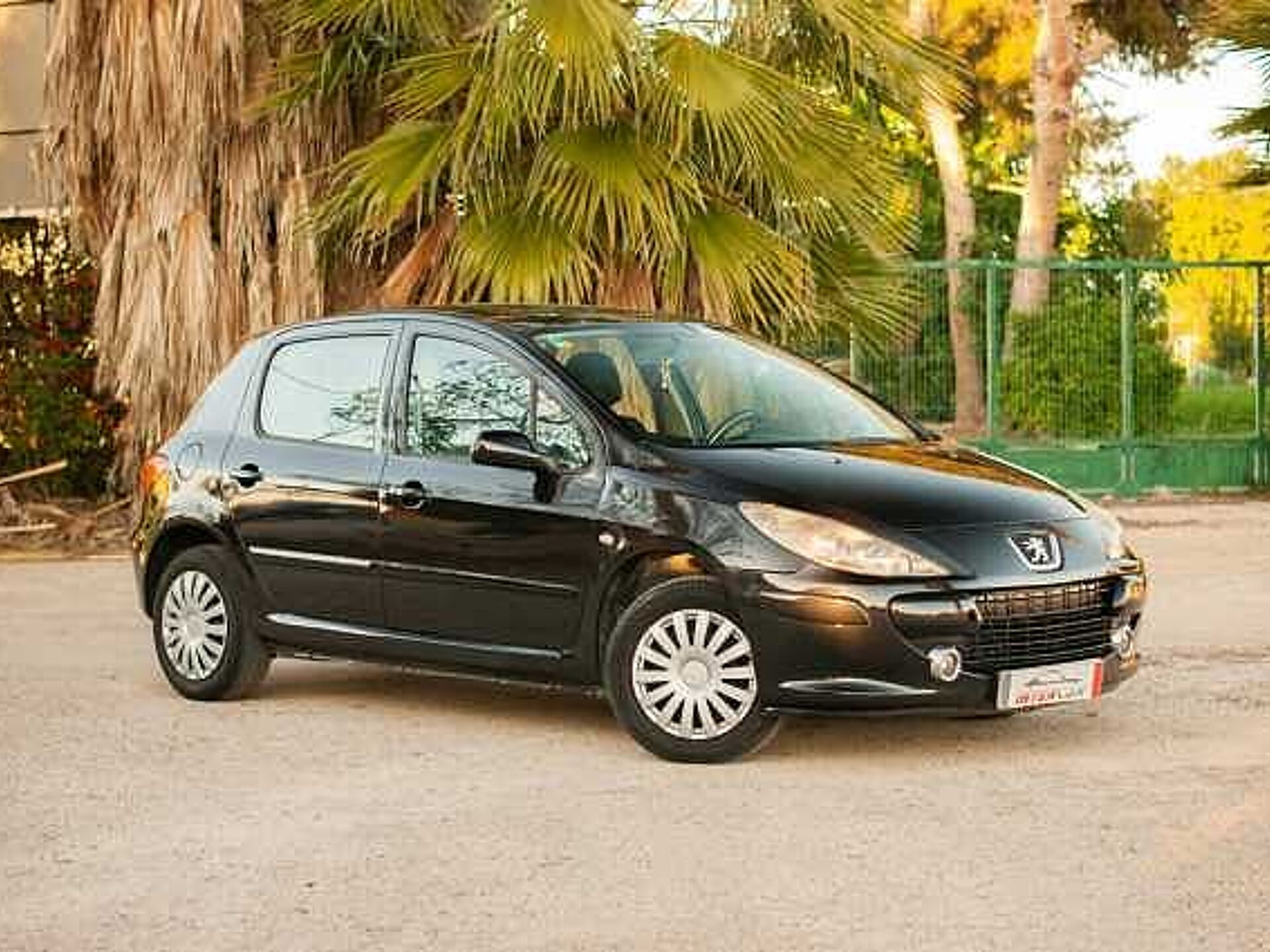 Imagen de PEUGEOT 307