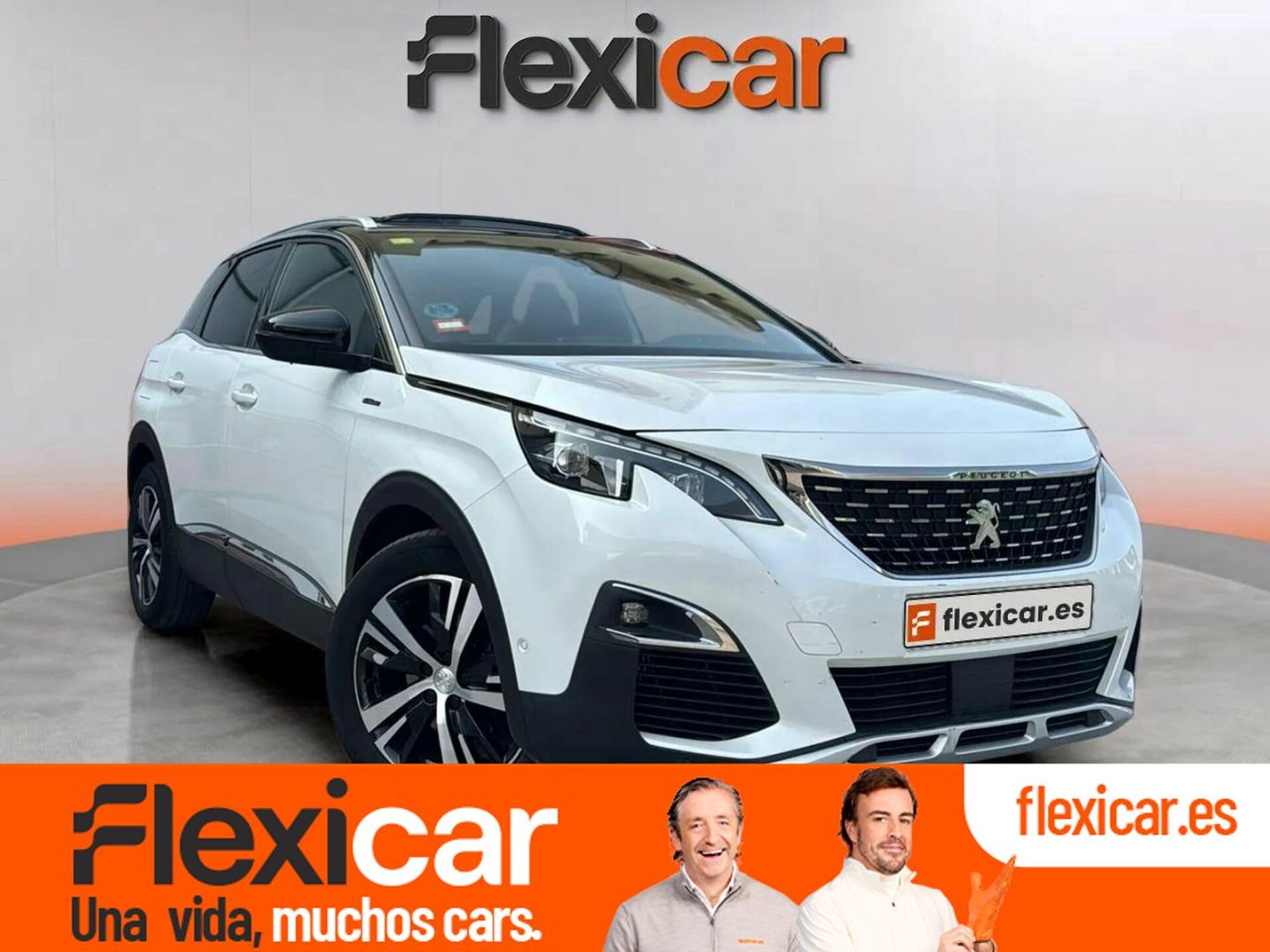Imagen de PEUGEOT 3008