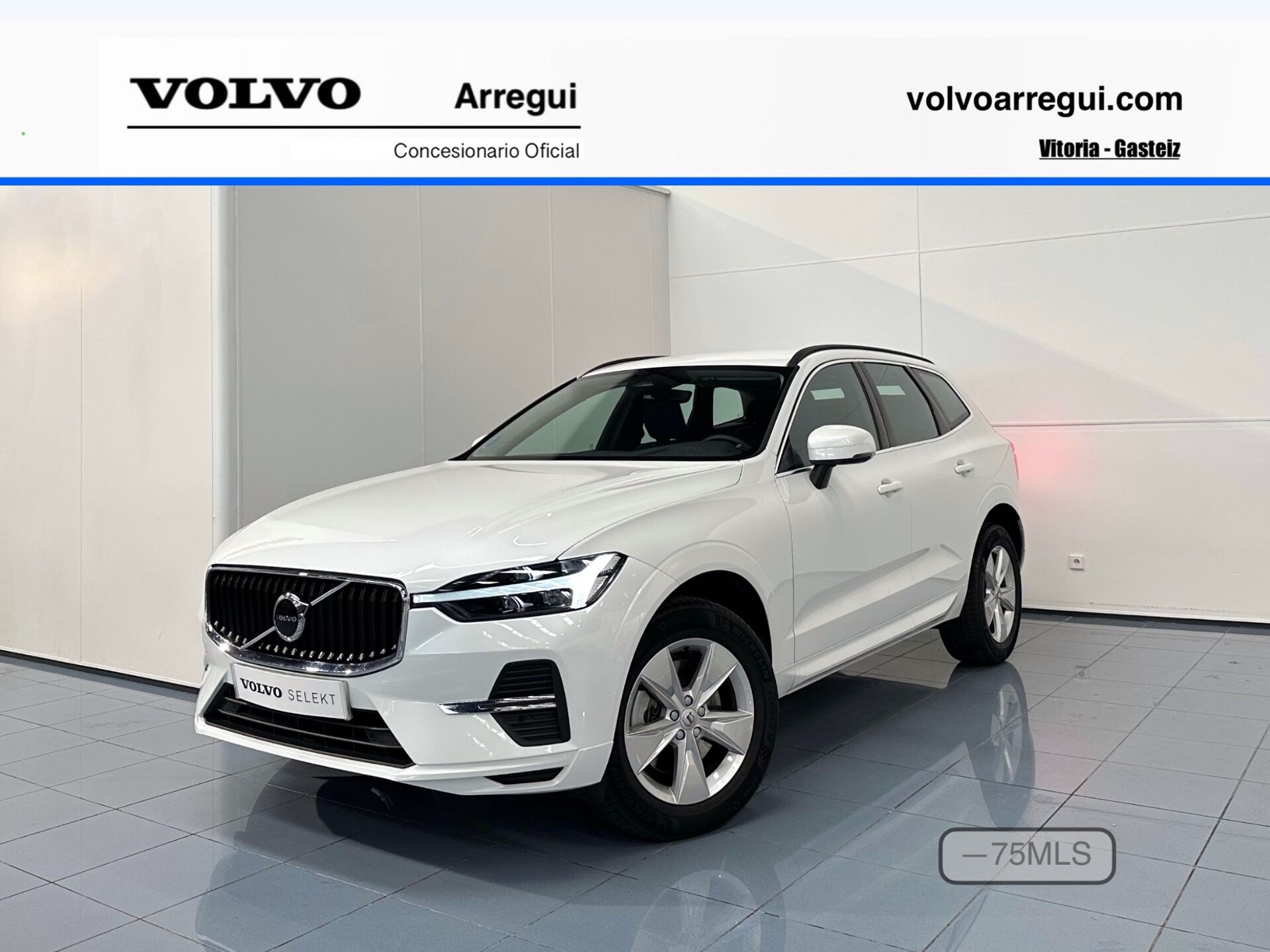 Imagen de VOLVO XC60