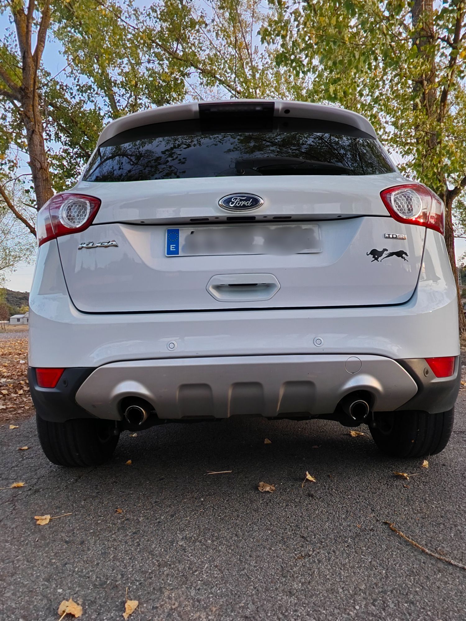 Foto del FORD Kuga 2.0TDCI Titanium S 2WD