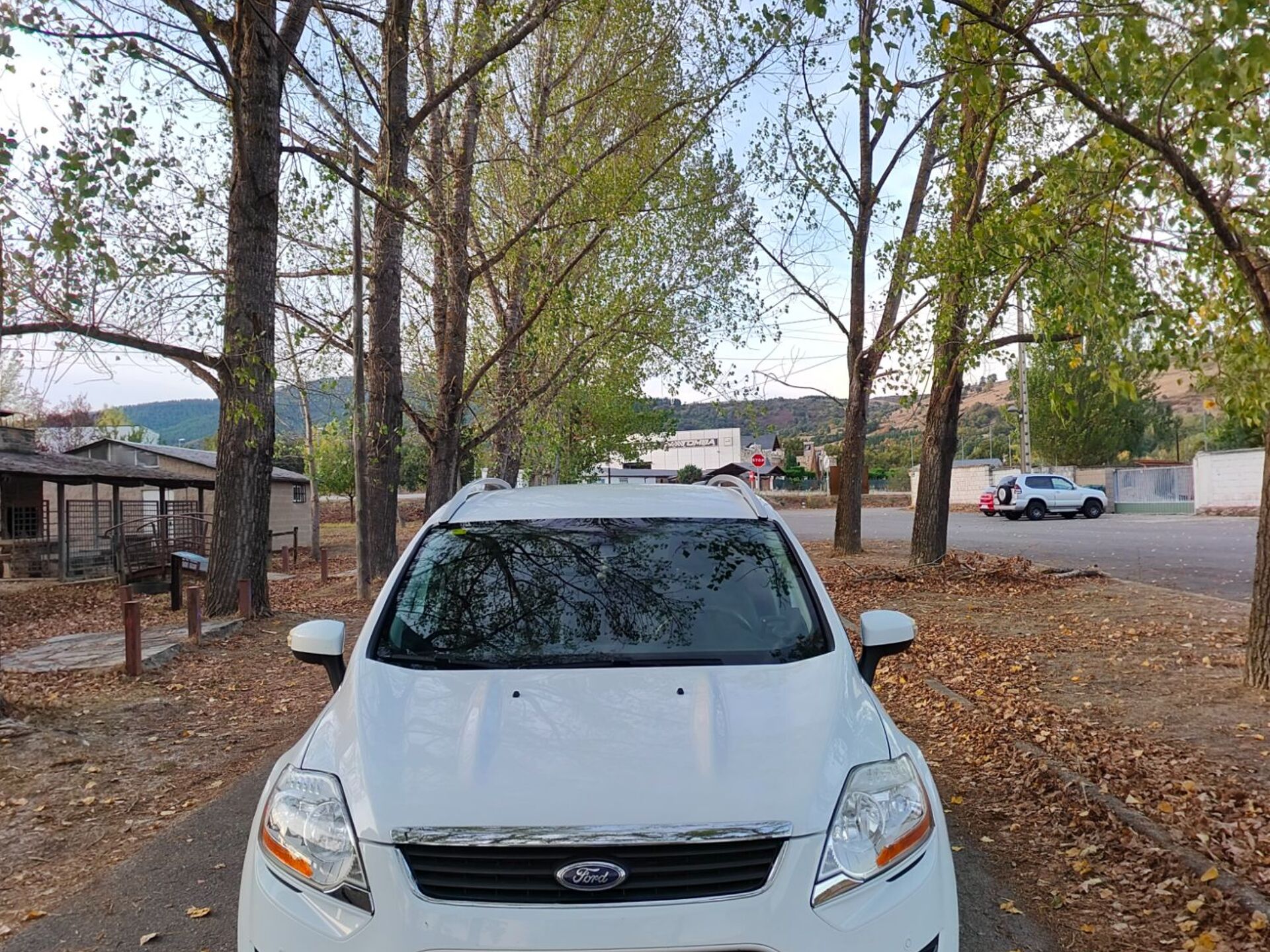 Imagen 1 de FORD Kuga