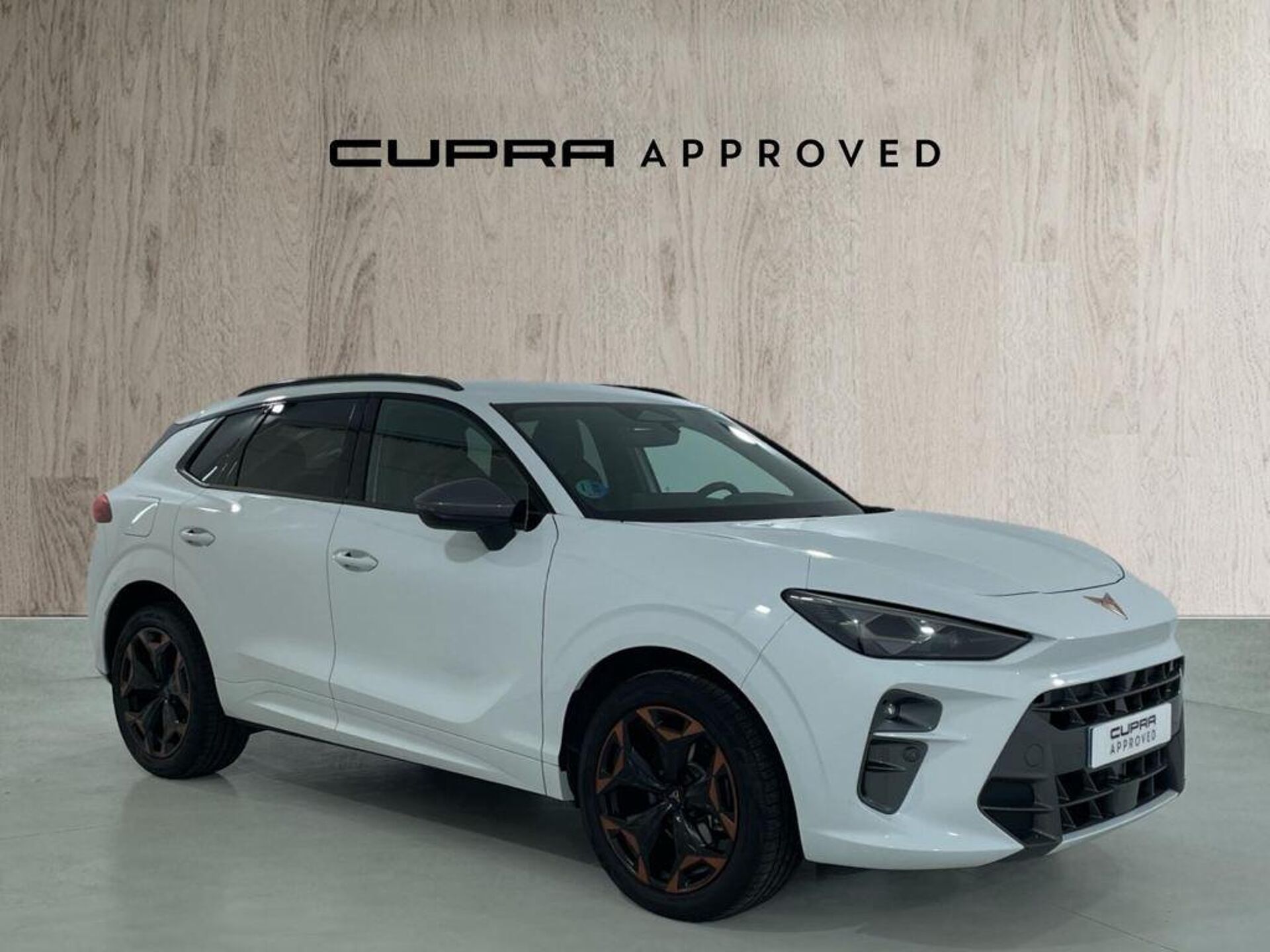 Imagen 1 de CUPRA Terramar