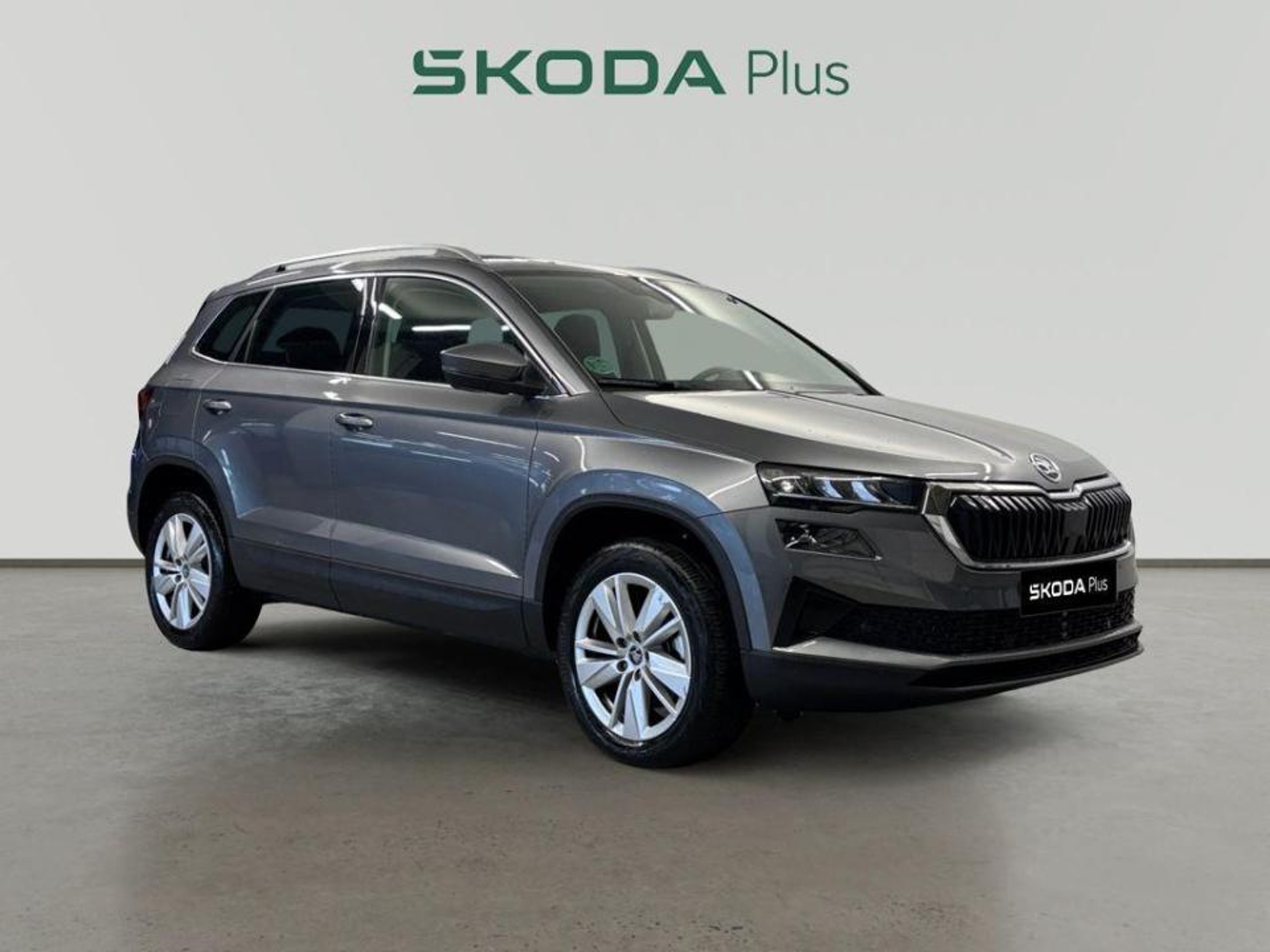 Imagen de SKODA Karoq