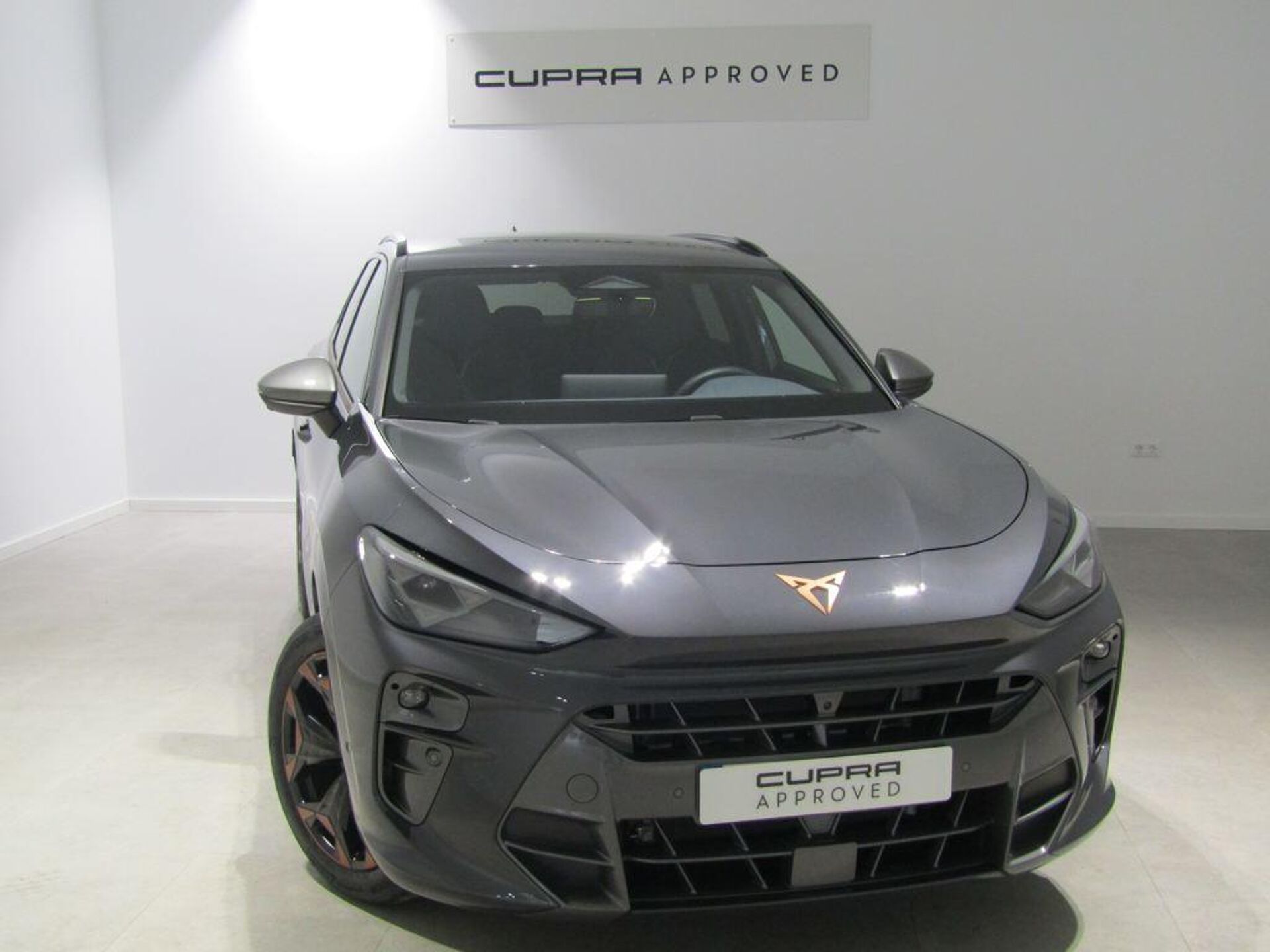 Imagen 1 de CUPRA Terramar