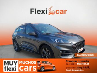 Imagen de FORD Kuga 1.5 EcoBoost ST-Line FWD 150