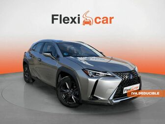 Imagen de LEXUS UX 250h Business 4WD