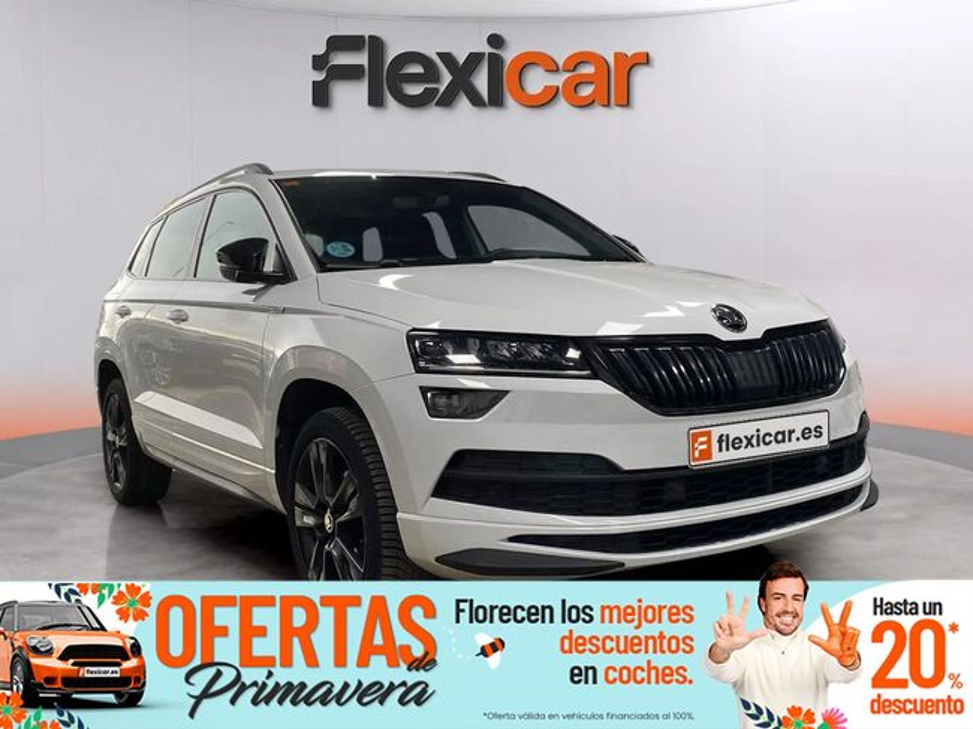 Imagen de SKODA Karoq