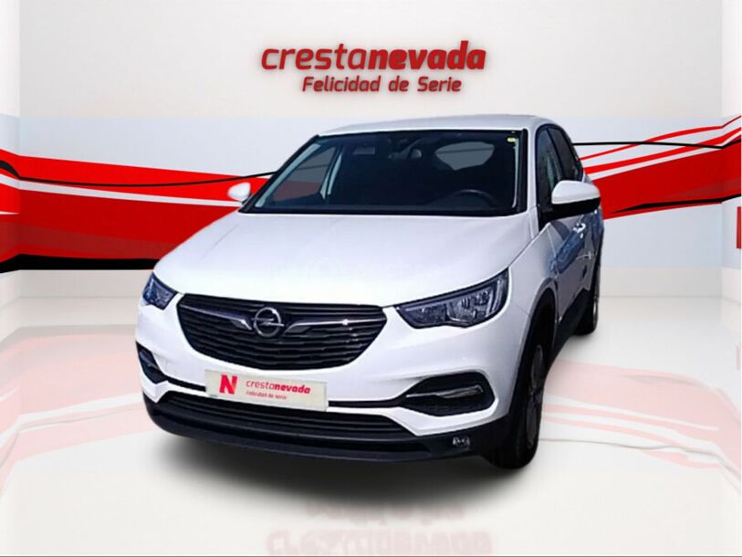 Foto del OPEL Grandland X 1.5CDTi S&S Selective Pro 130