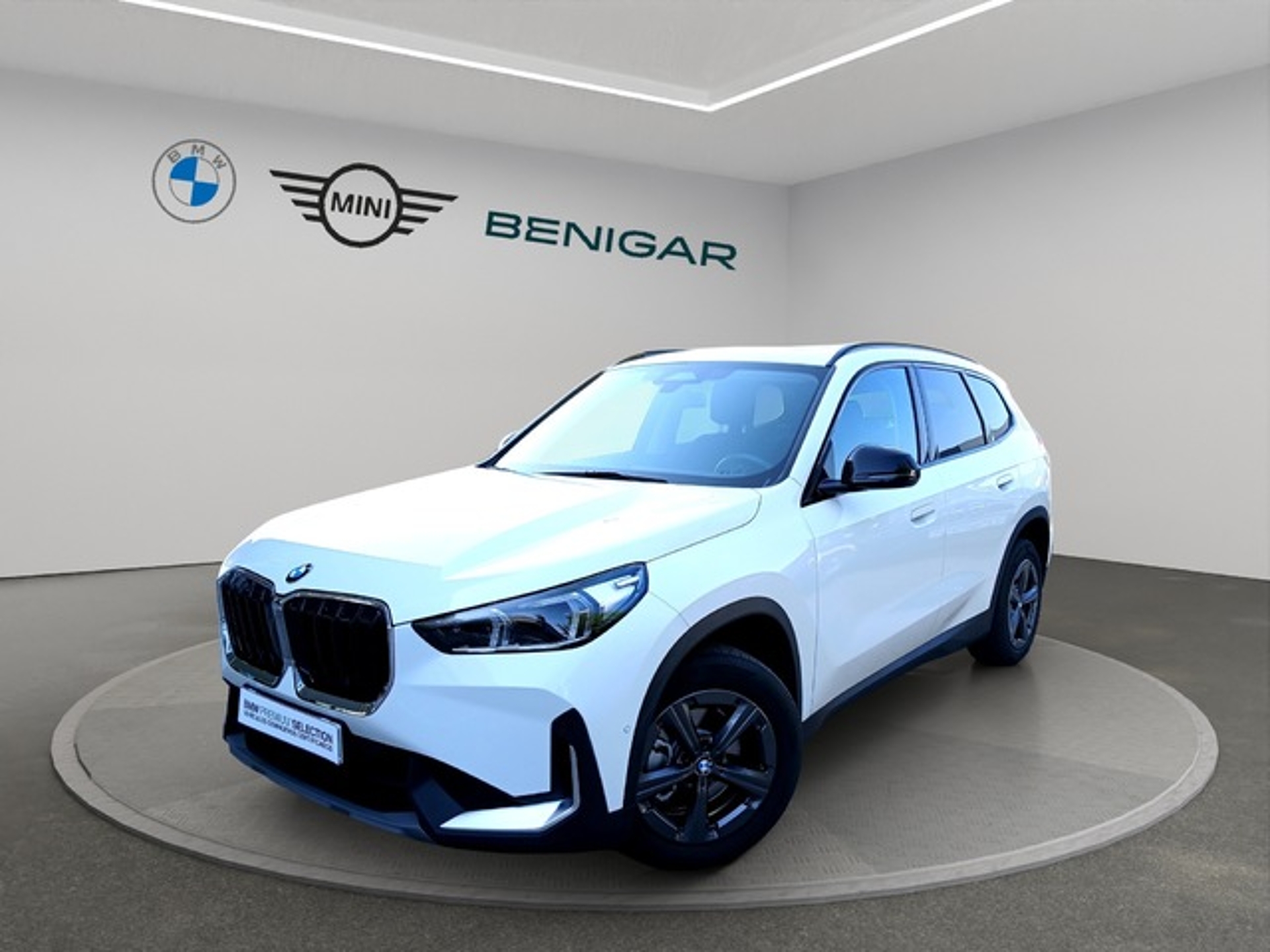 Imagen de BMW X1