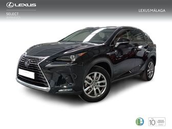 Imagen de LEXUS NX 300h Executive Kick Power+ Navigation 4WD