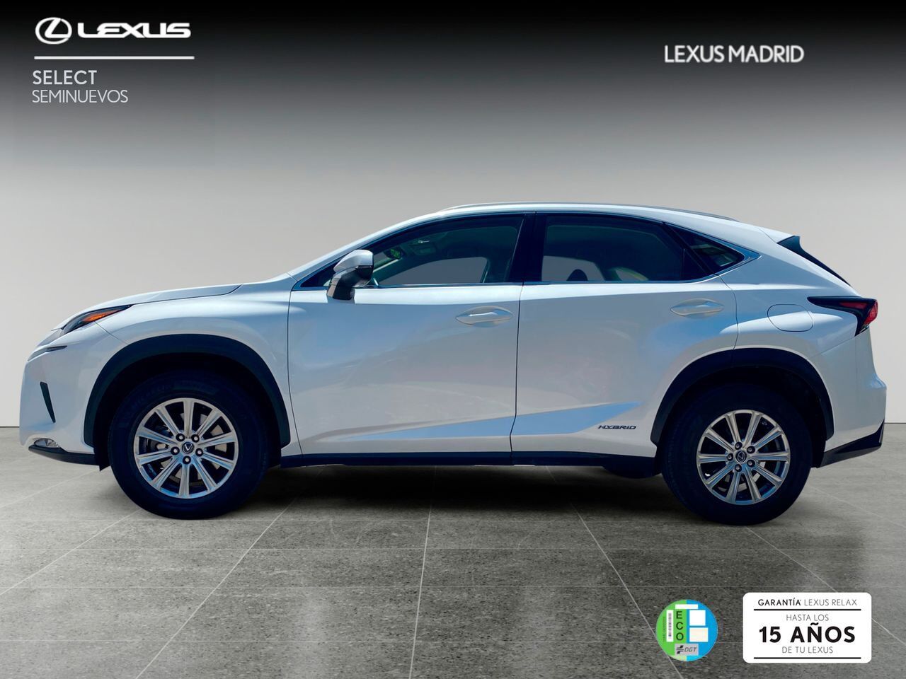 Foto del LEXUS NX 300h Business Navigation 2WD