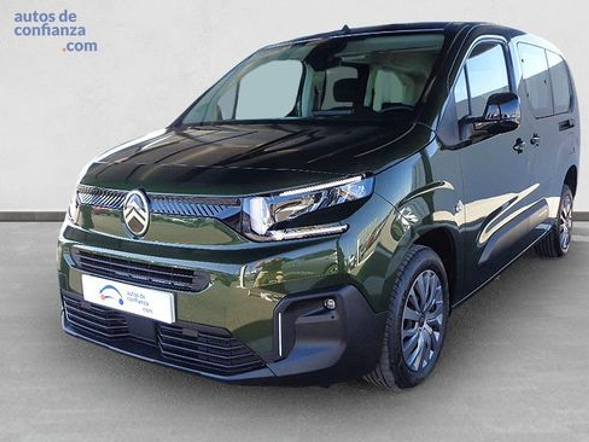 Imagen de CITROEN Berlingo