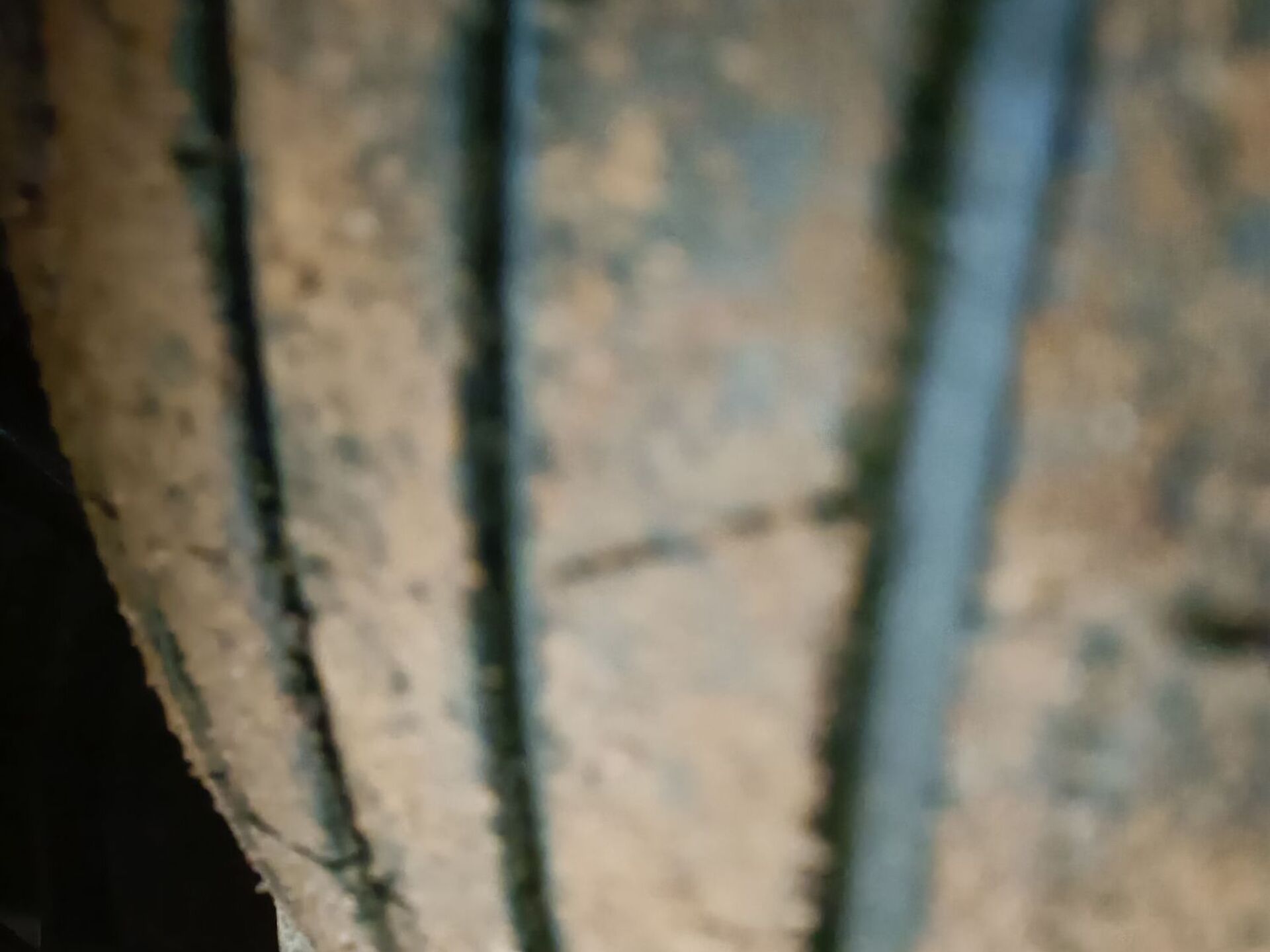 Imagen 2 de TOYOTA Corolla