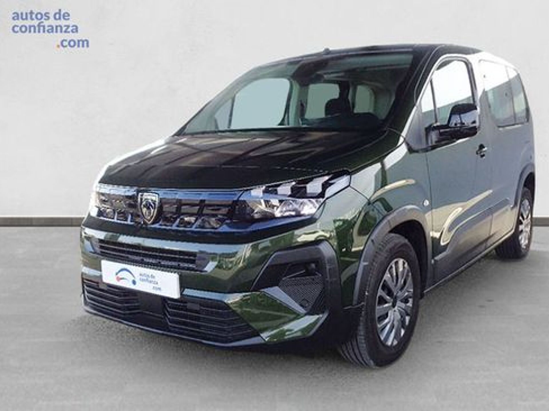 Imagen 1 de PEUGEOT Rifter