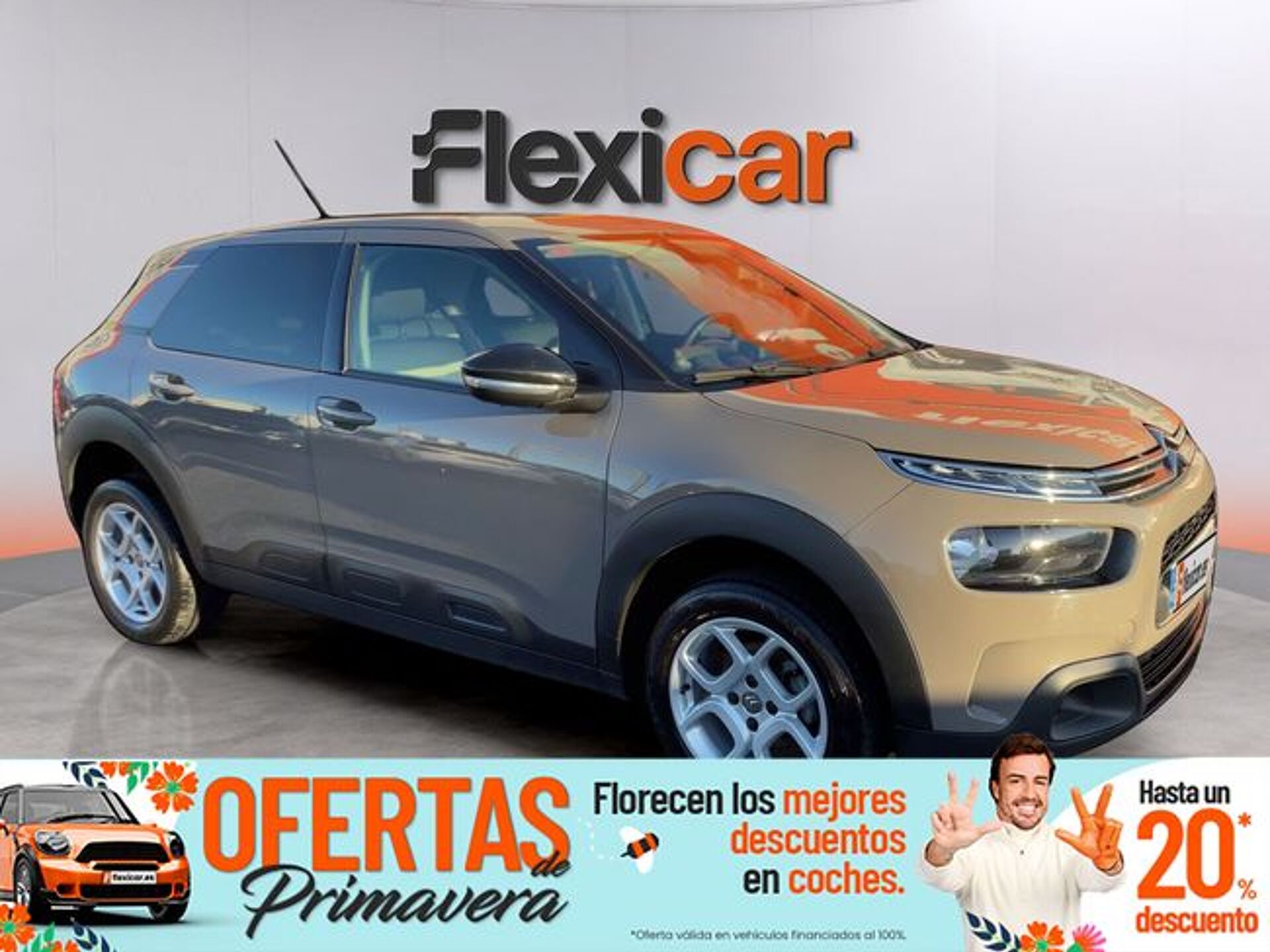 Imagen 1 de CITROEN C4 Cactus