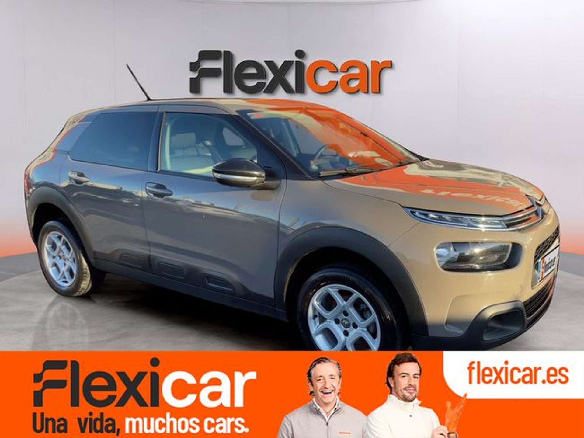 Imagen de CITROEN C4 Cactus