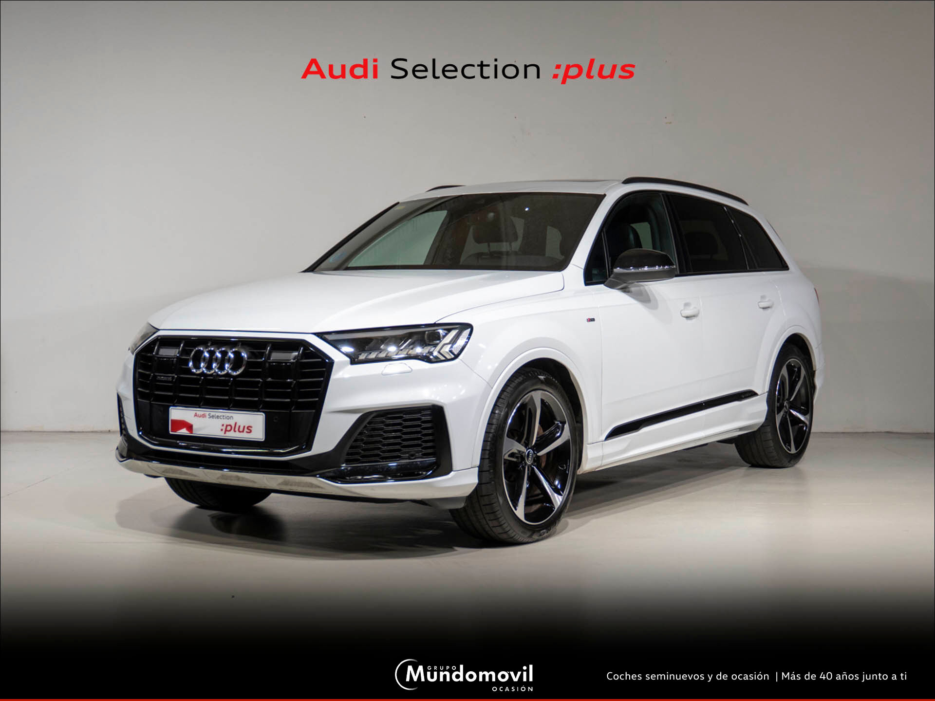 AUDI Q7 (3.0 45 TDI Q TIPTRONIC BLACK LINE ED 5P) en Navarra