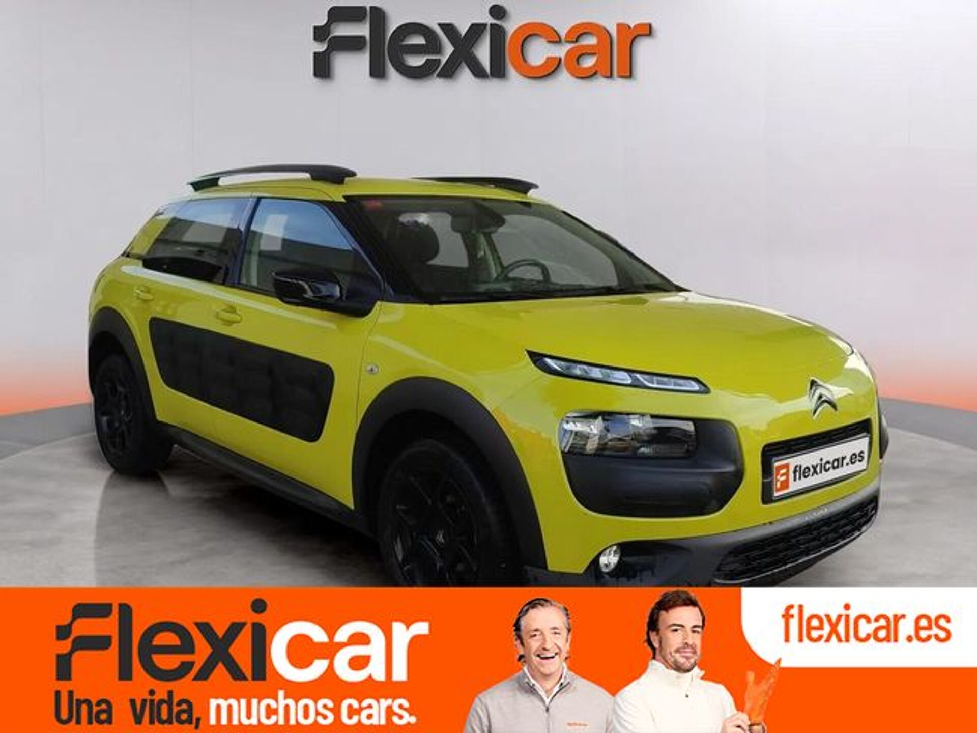Imagen de CITROEN C4 Cactus