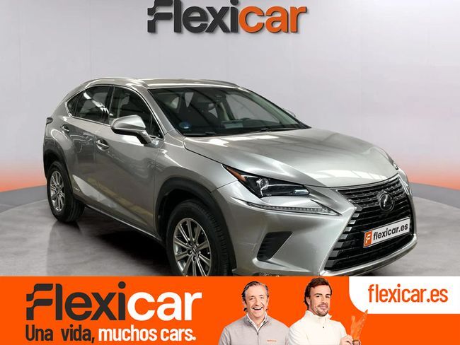LEXUS NX (2.5 300h Business Navigation 2WD) en Málaga