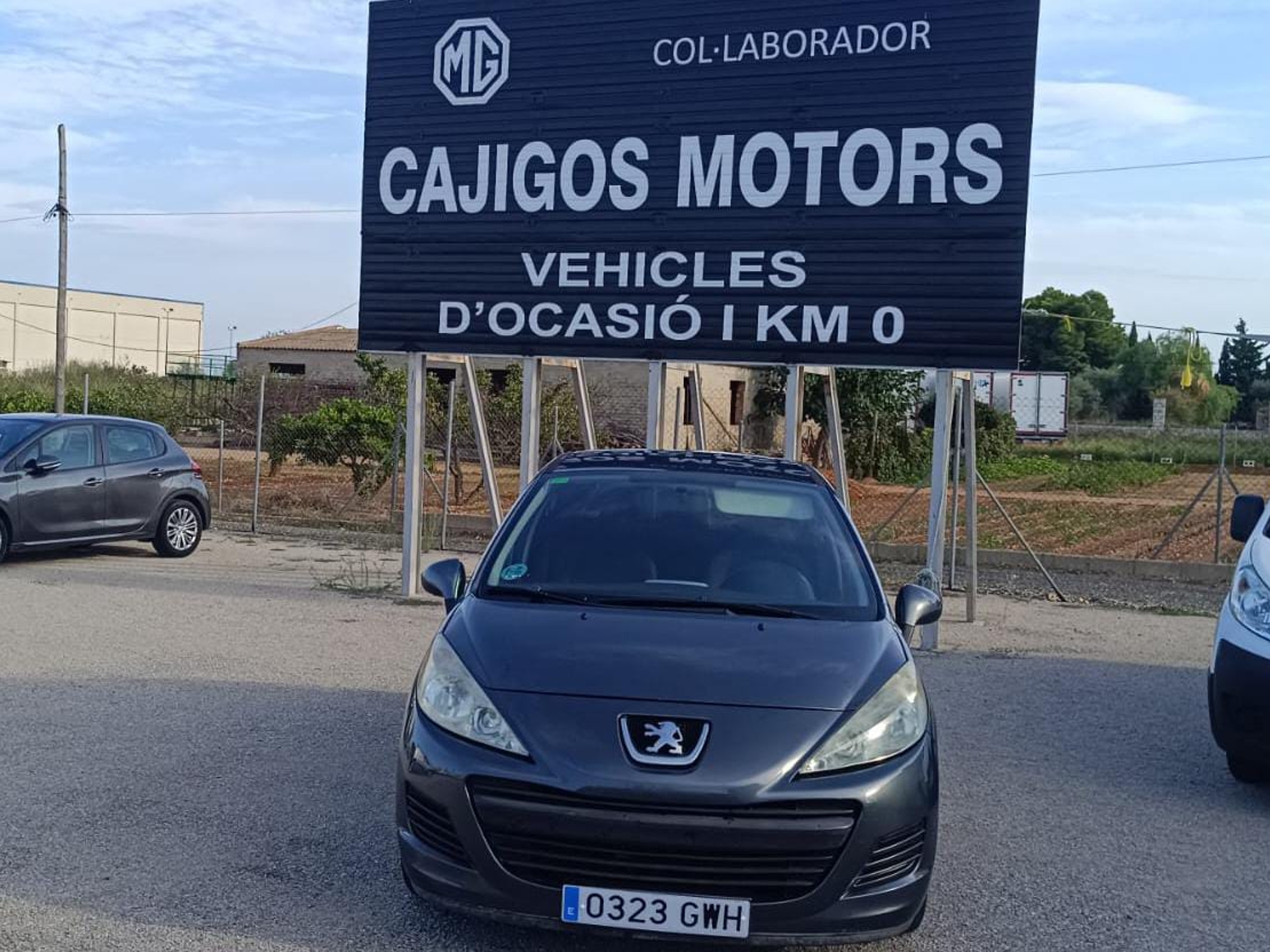 Imagen de PEUGEOT 207