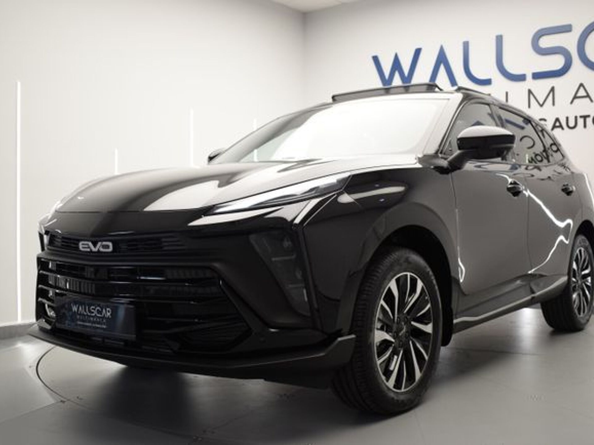 Imagen 3 de EVO EVO 6