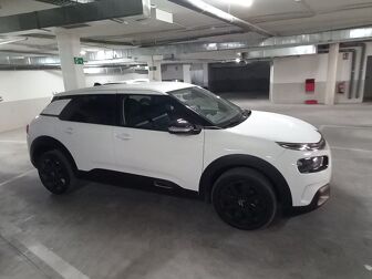 Imagen de CITROEN C4 Cactus 1.2 PureTech S&S Shine 110