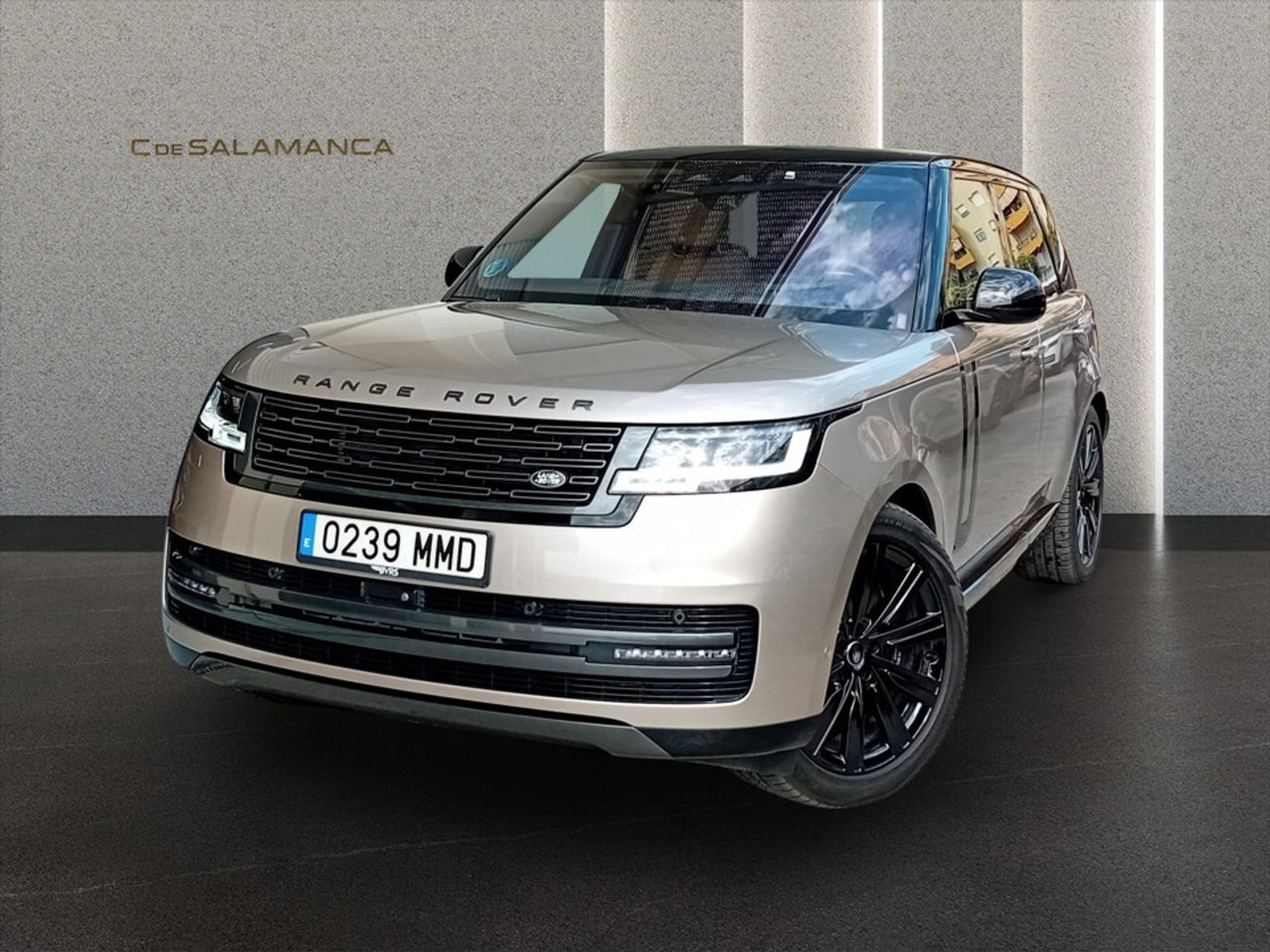 Imagen de LAND ROVER Range Rover
