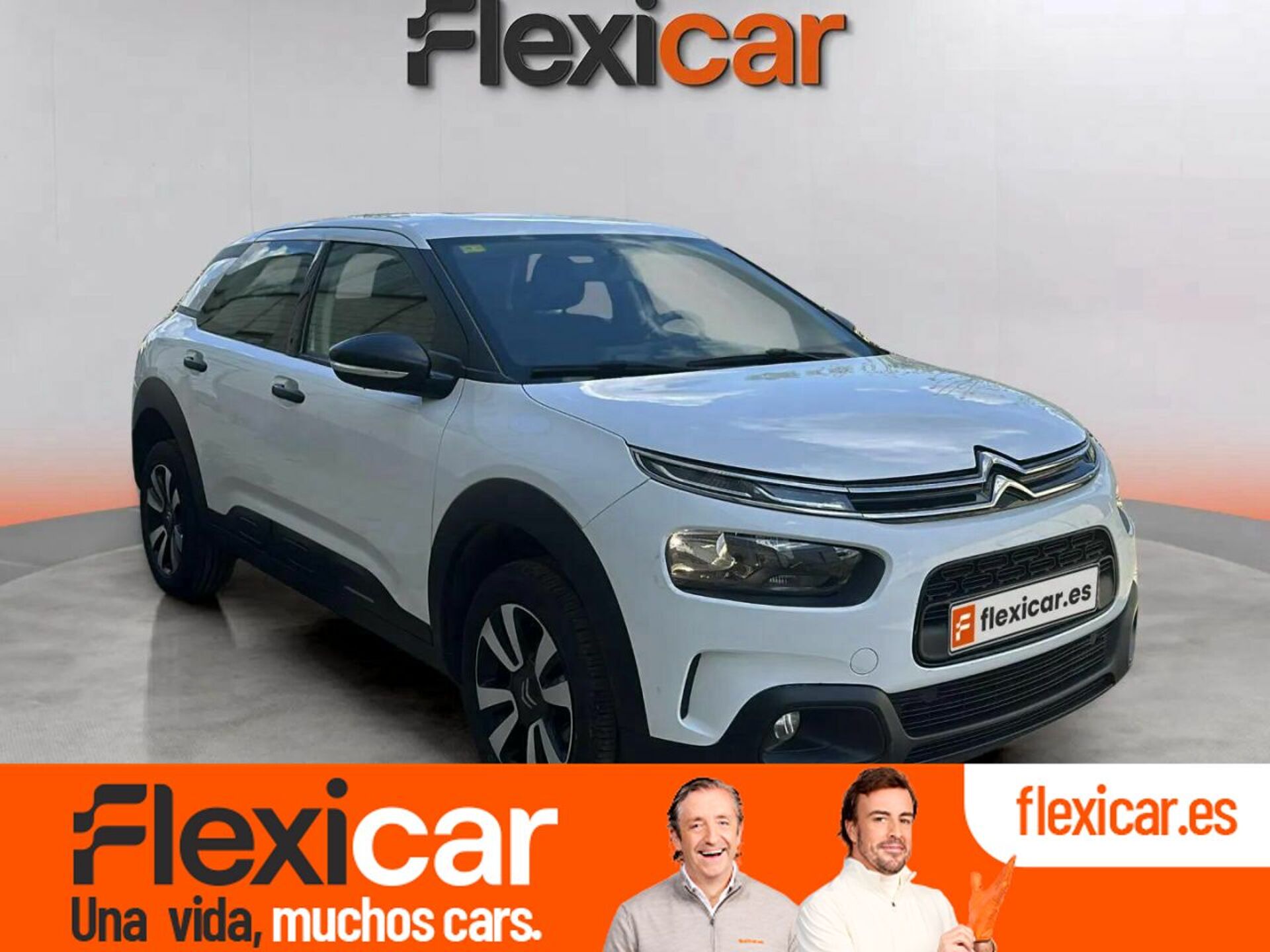 Imagen de CITROEN C4 Cactus