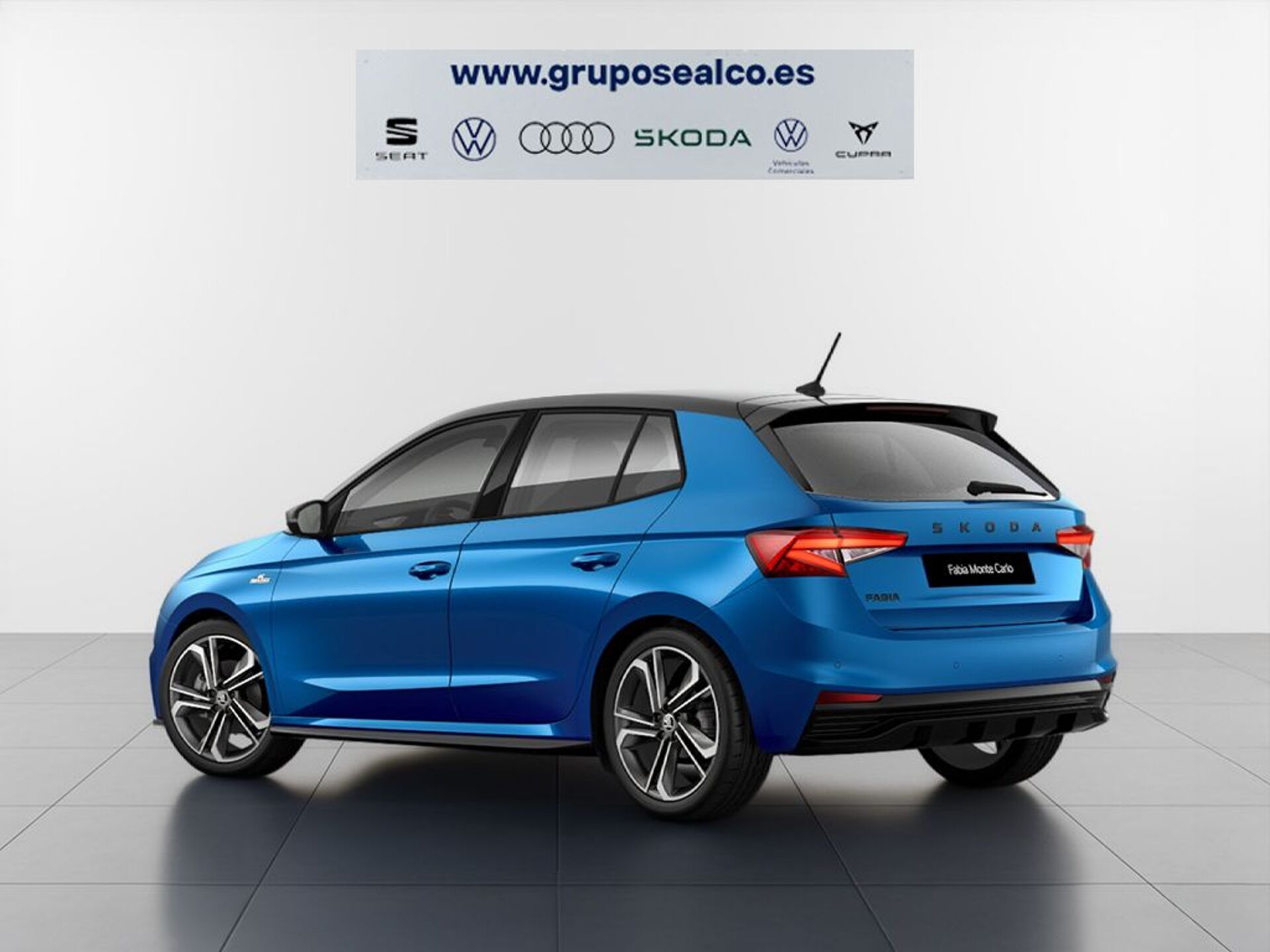 Imagen 3 de SKODA Fabia