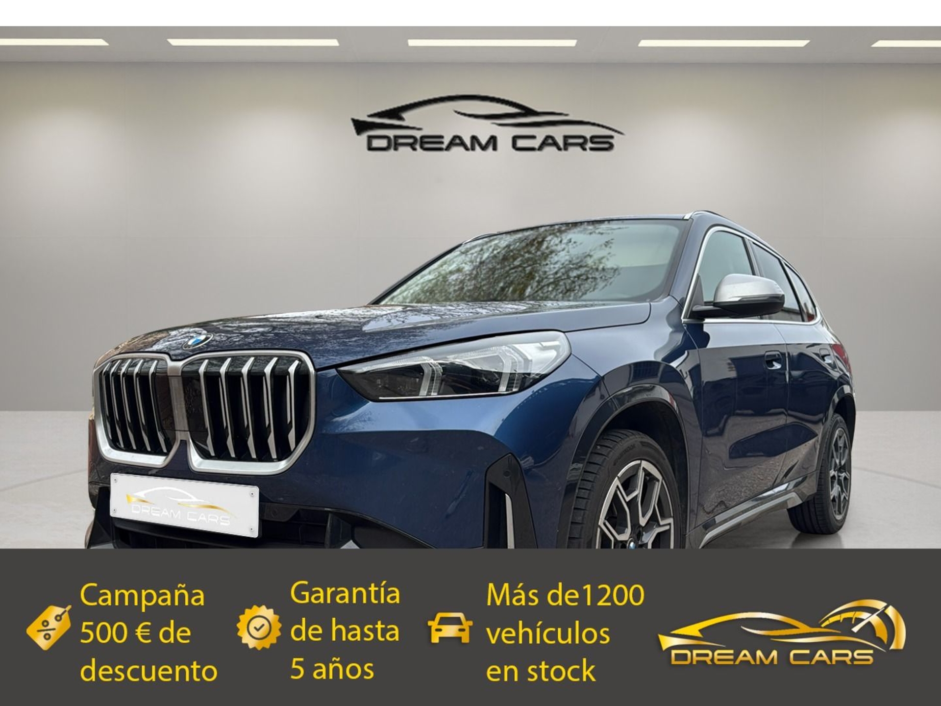 Imagen de BMW X1