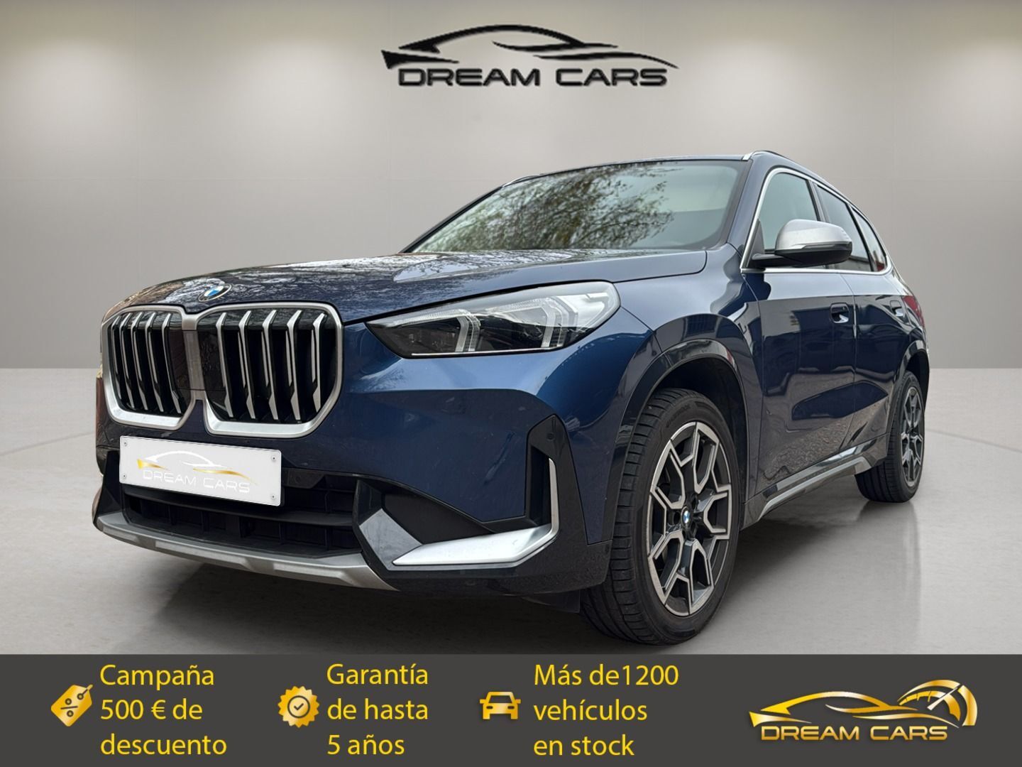 BMW X1 (xDrive20d 120 kW (163 CV)) en Madrid