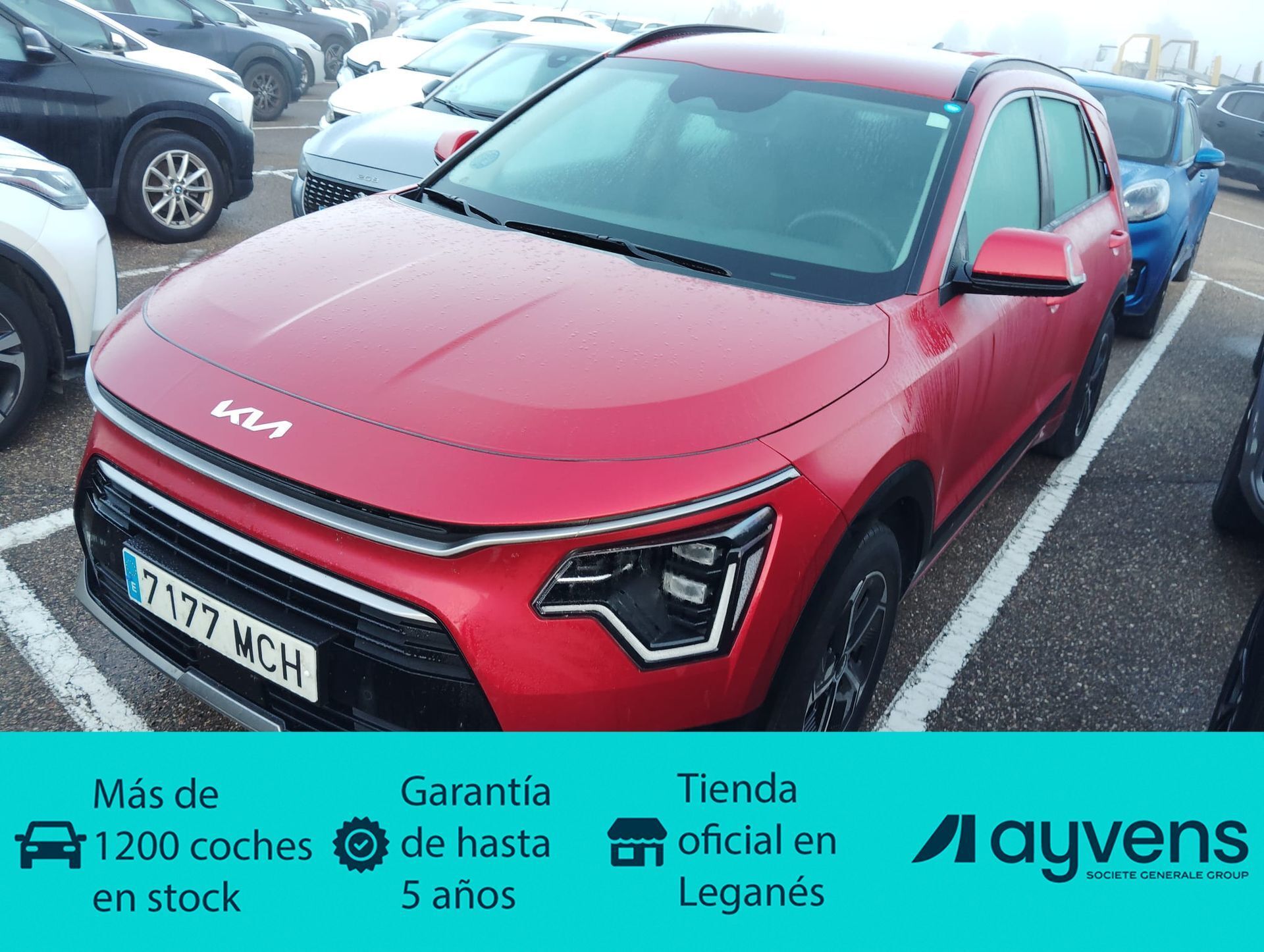 KIA Niro (1.6 GDi HEV Híbrido Drive 104 kW (141 CV)) en Madrid