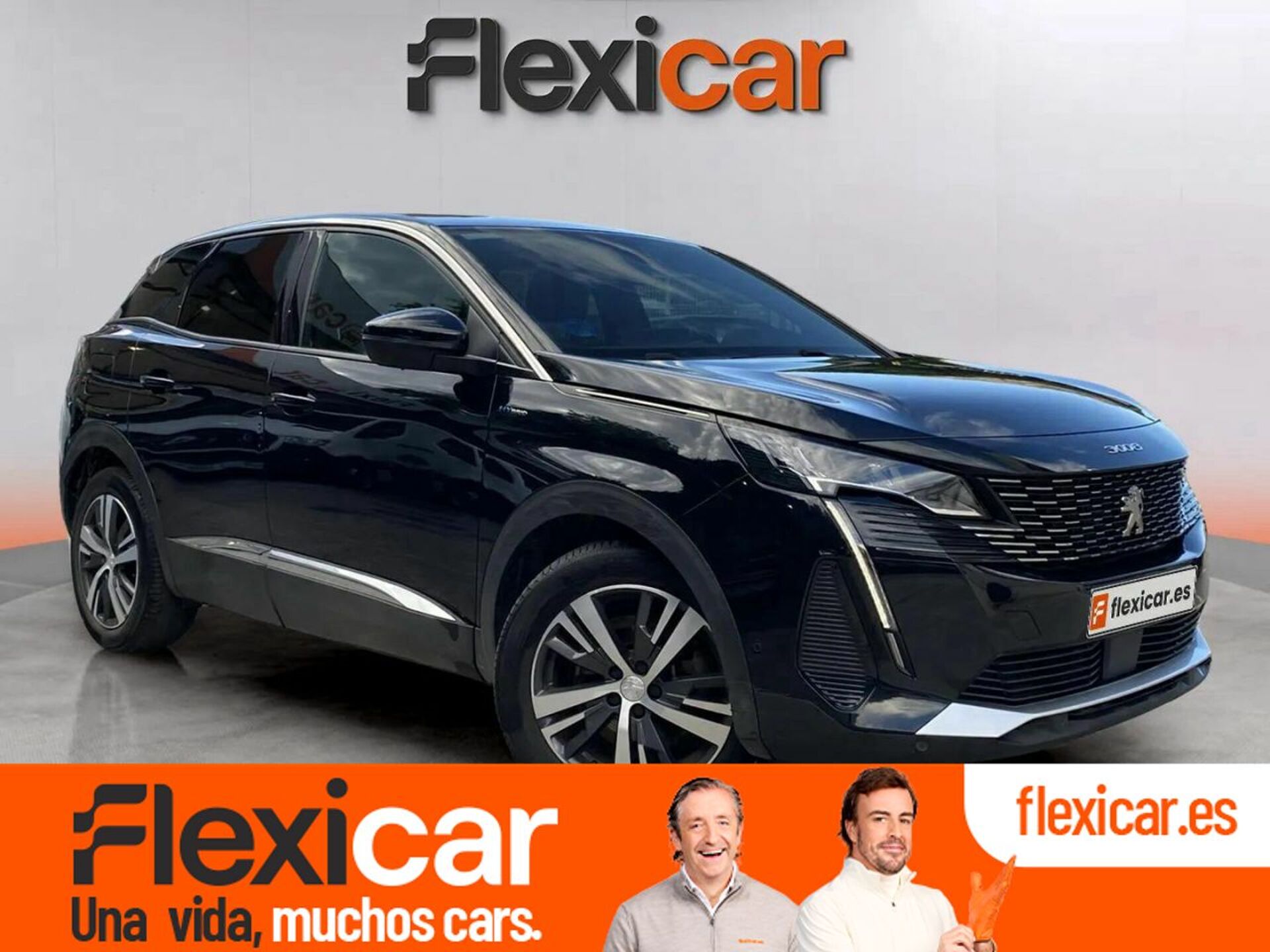 Imagen de PEUGEOT 3008